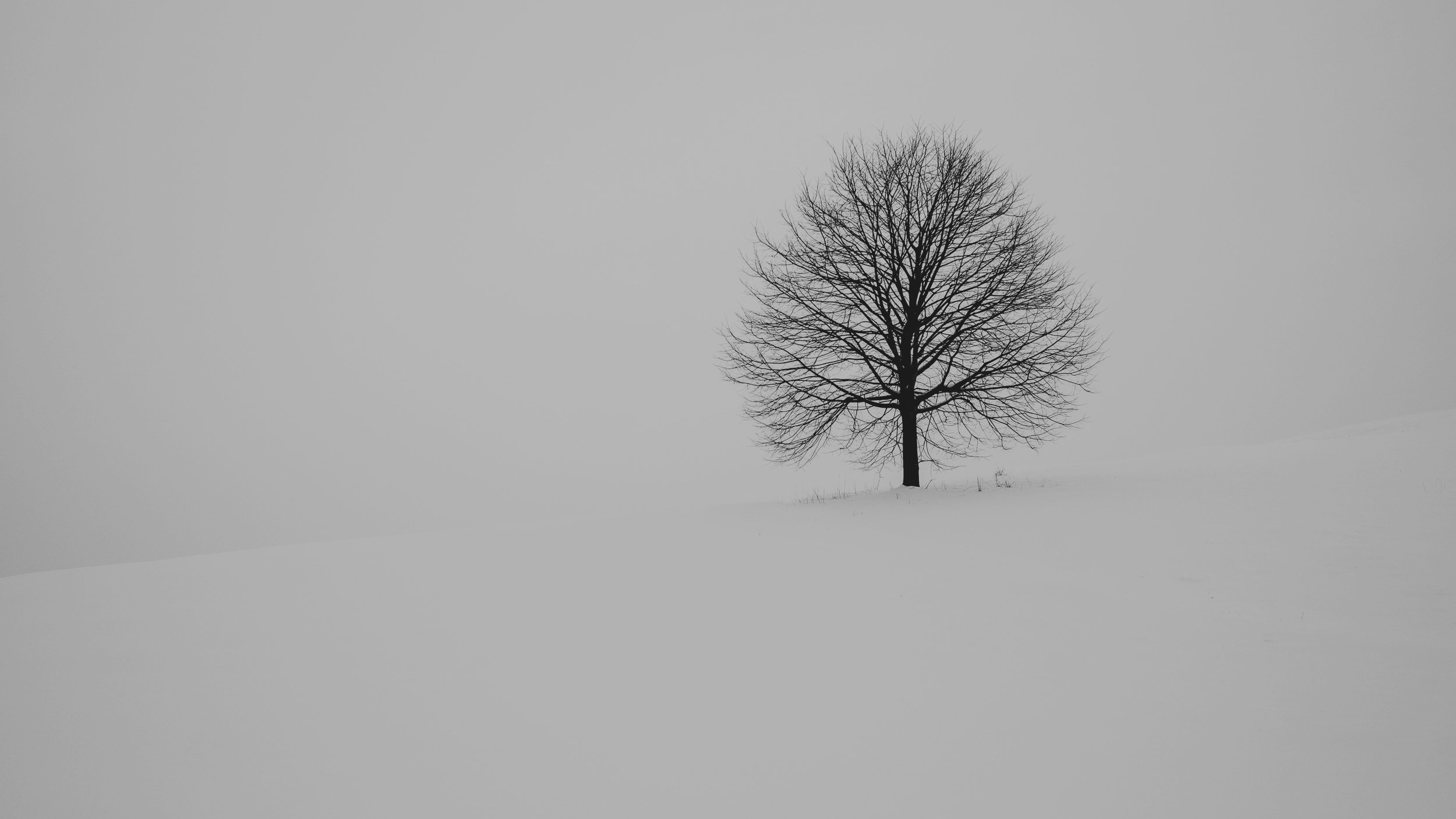 2018-12-21%2Bfabrice-villard-584622-unsplash.jpg