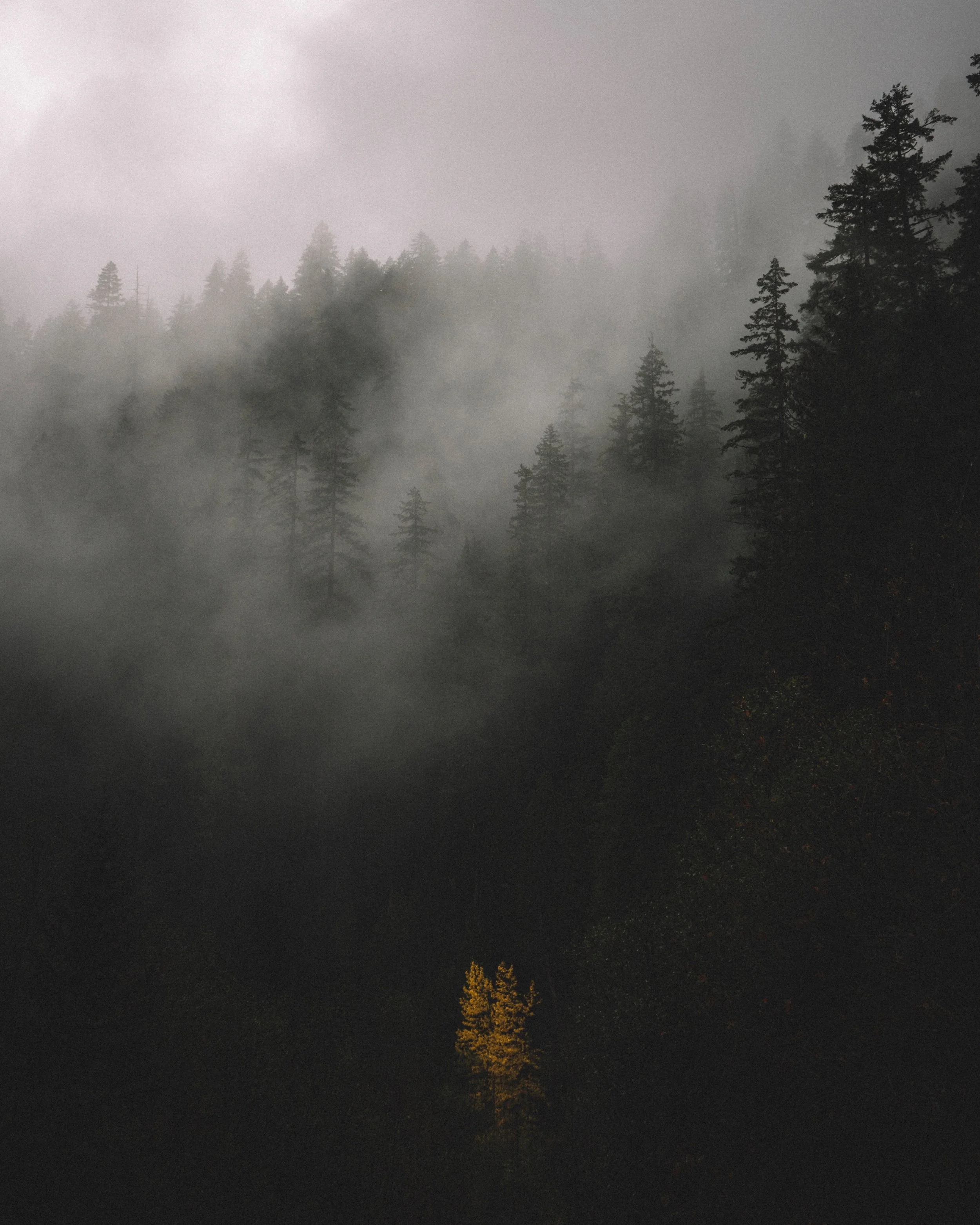 2019-01-12 adrian-159245-unsplash.jpg