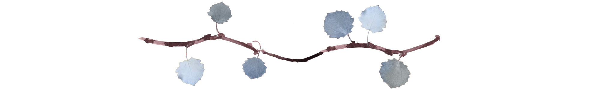 Leslie Divider Line 5 final.png