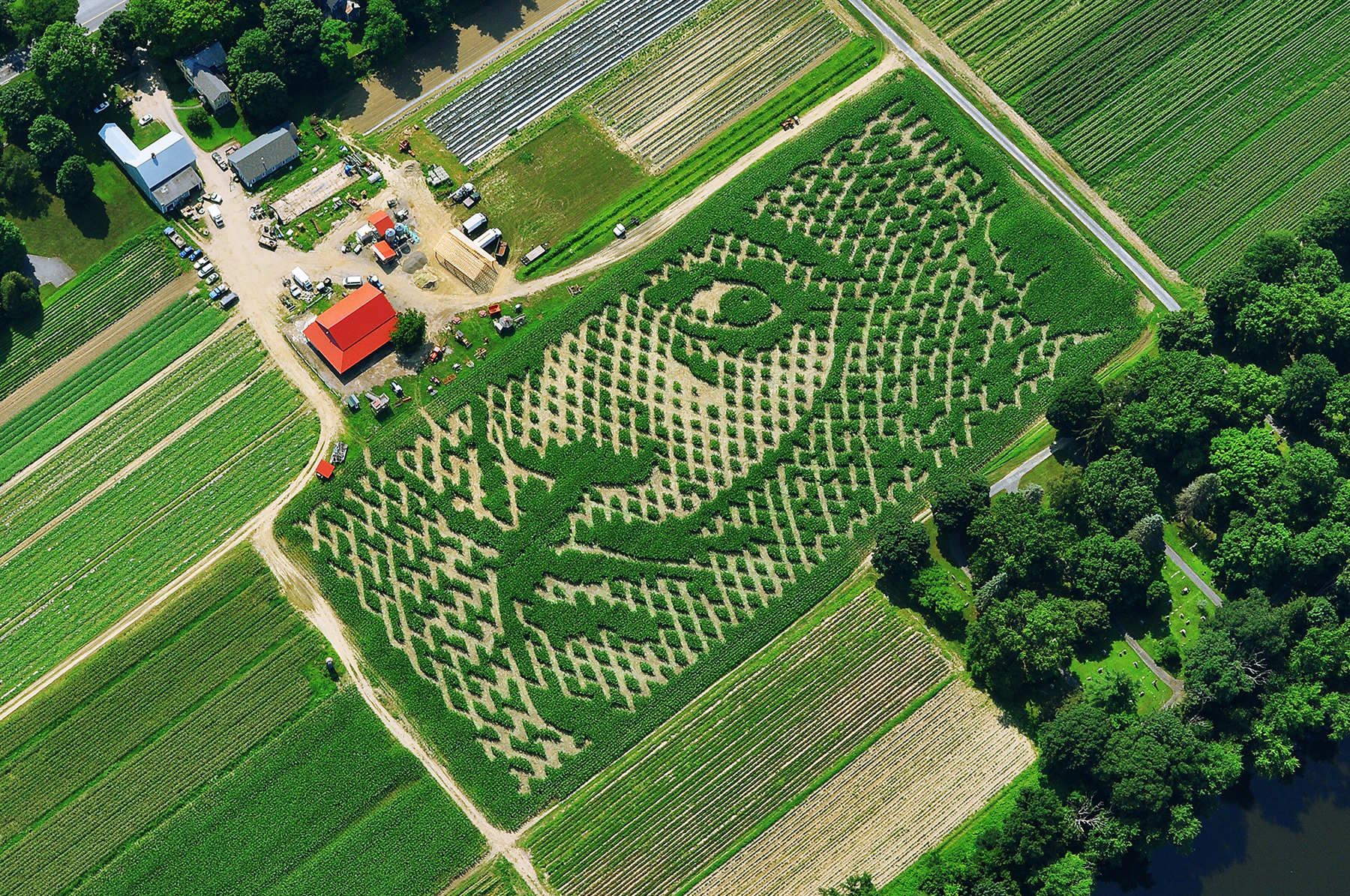 Mike's Maze / Salvador Dalí