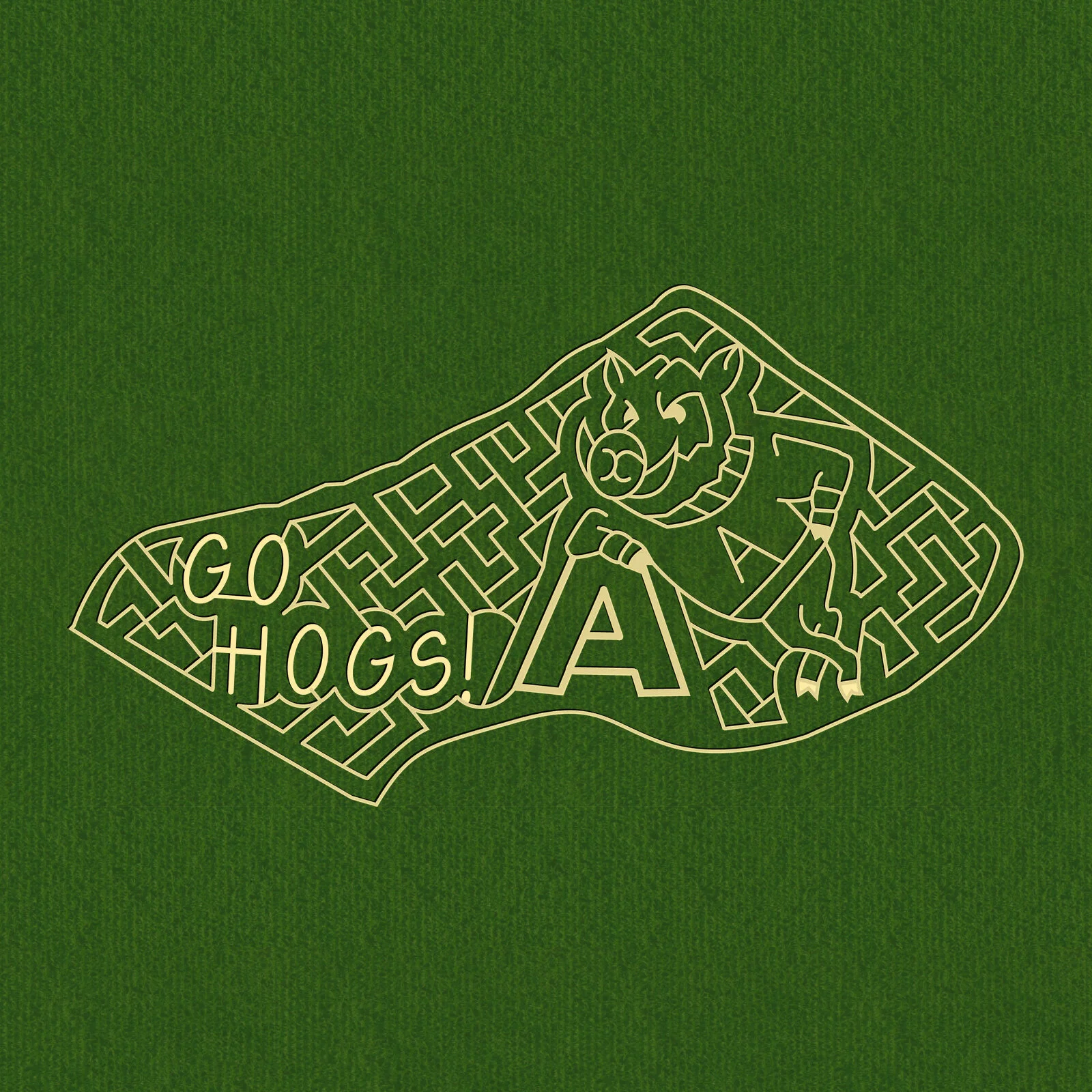 Arkansas Go Hogs.jpg