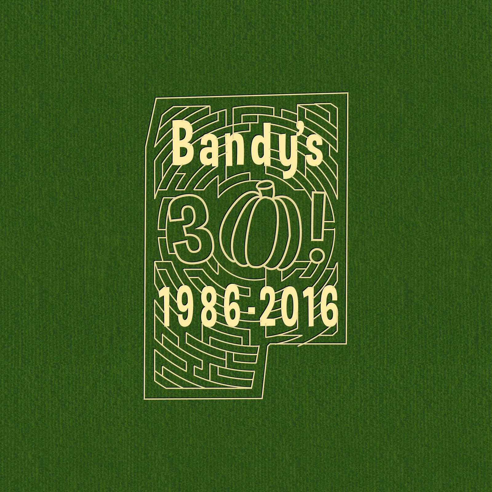 Bandy's 30th bw.jpg