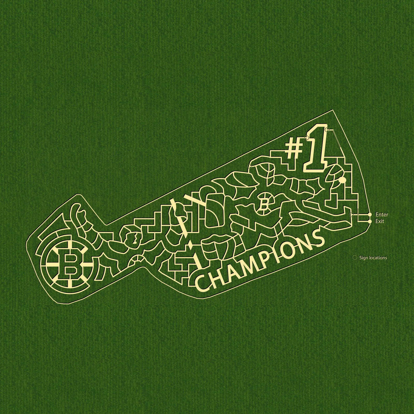 Bruins Hockey Champions.jpg