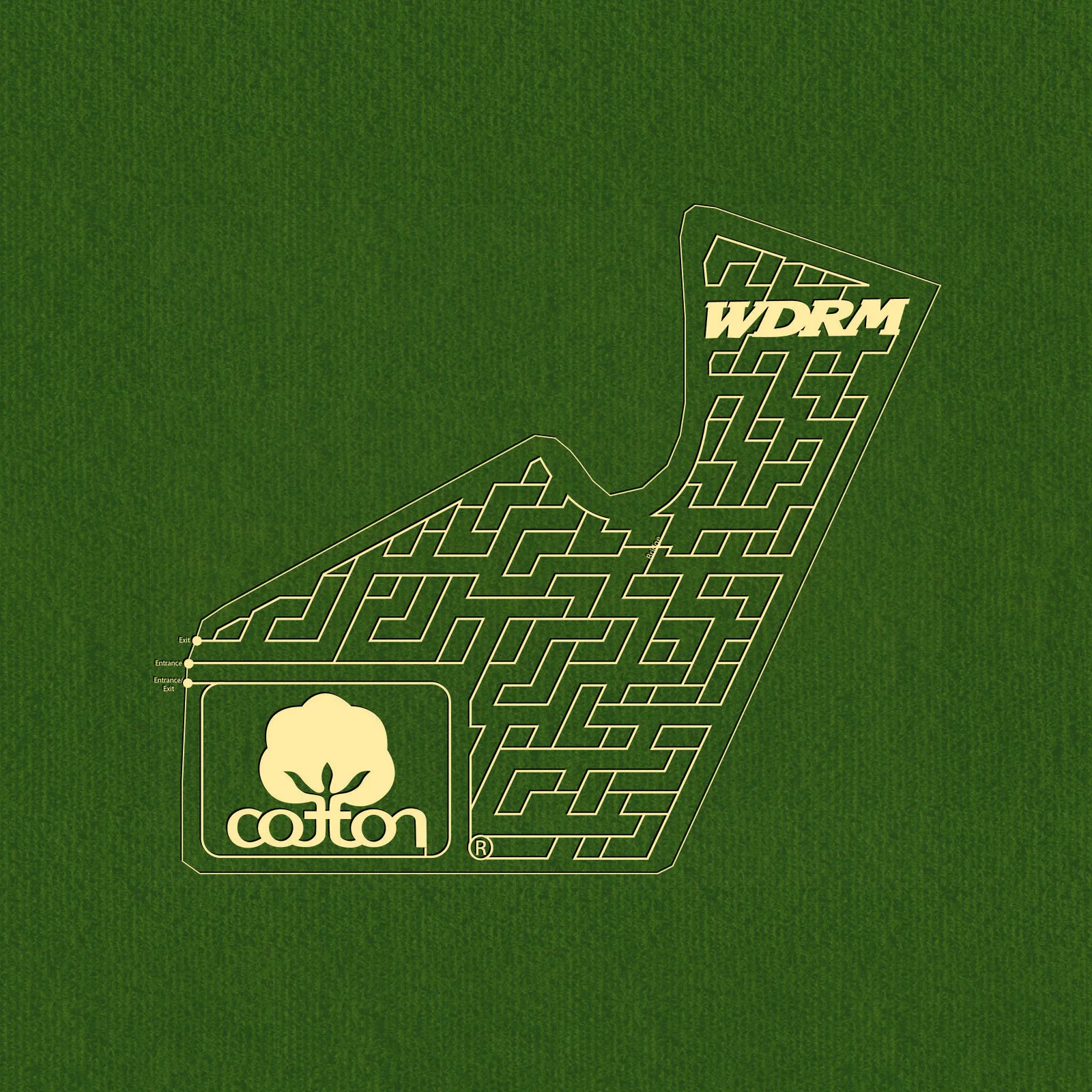 Cotton.jpg