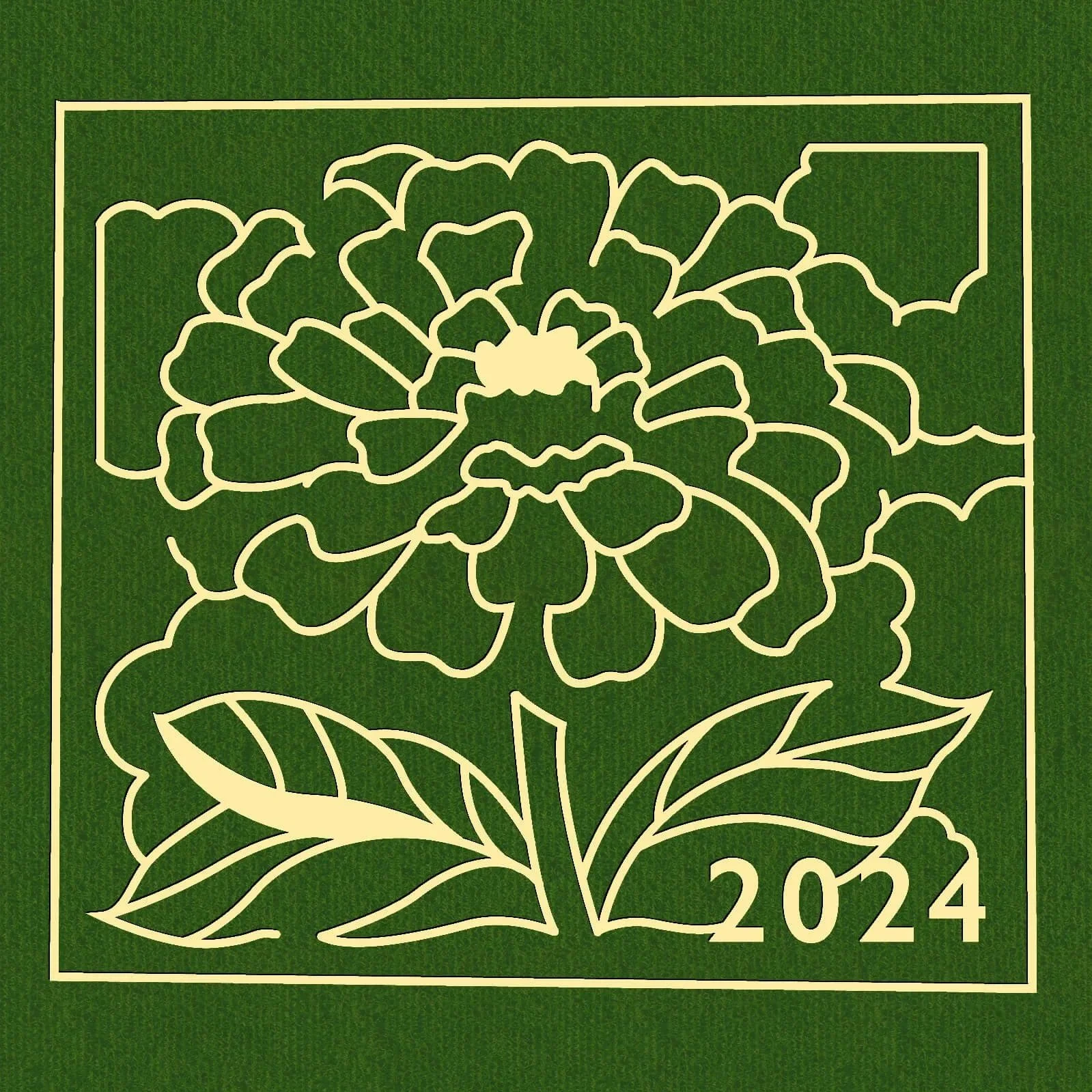 Zinnia S2401