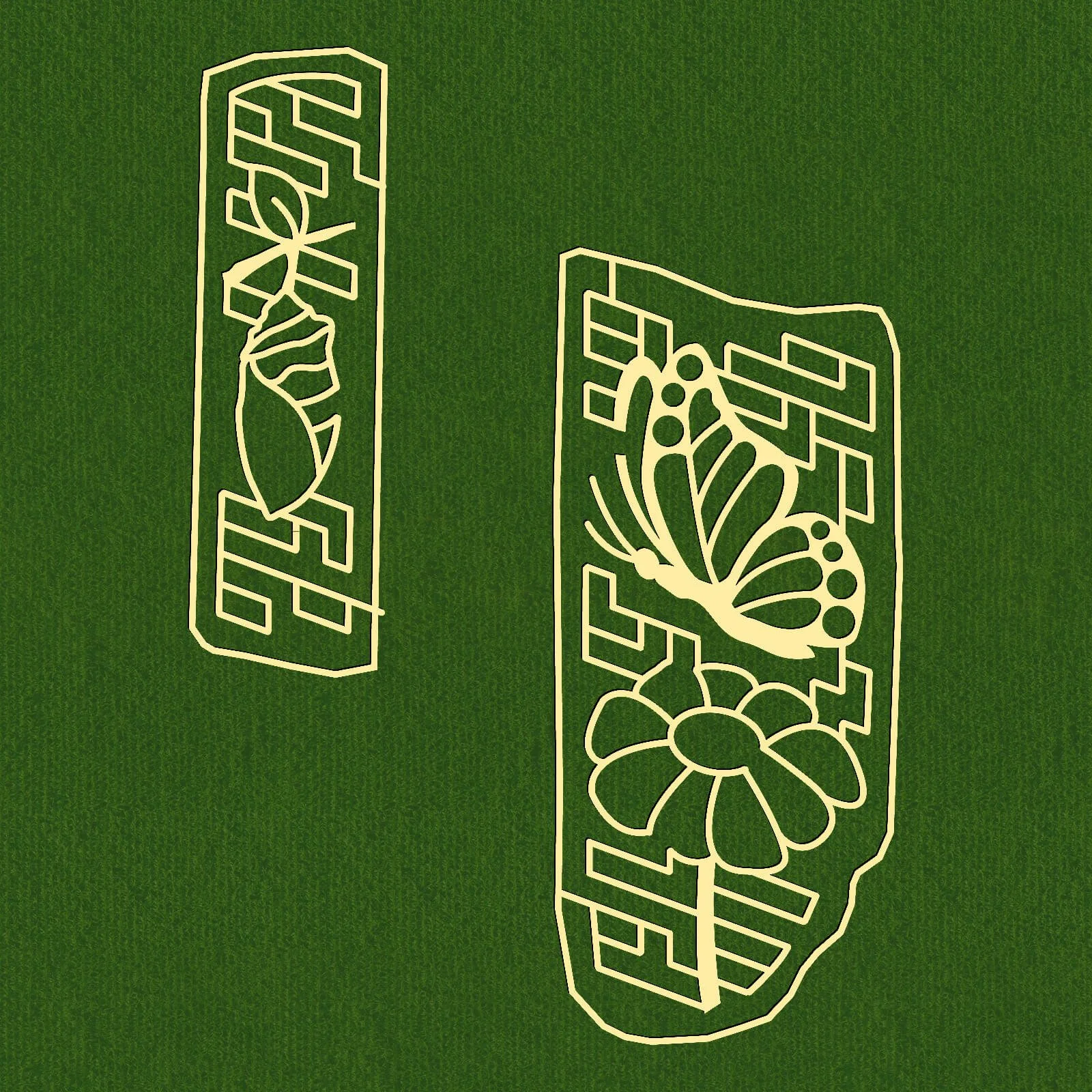 Butterfly and Chrysalis S2502