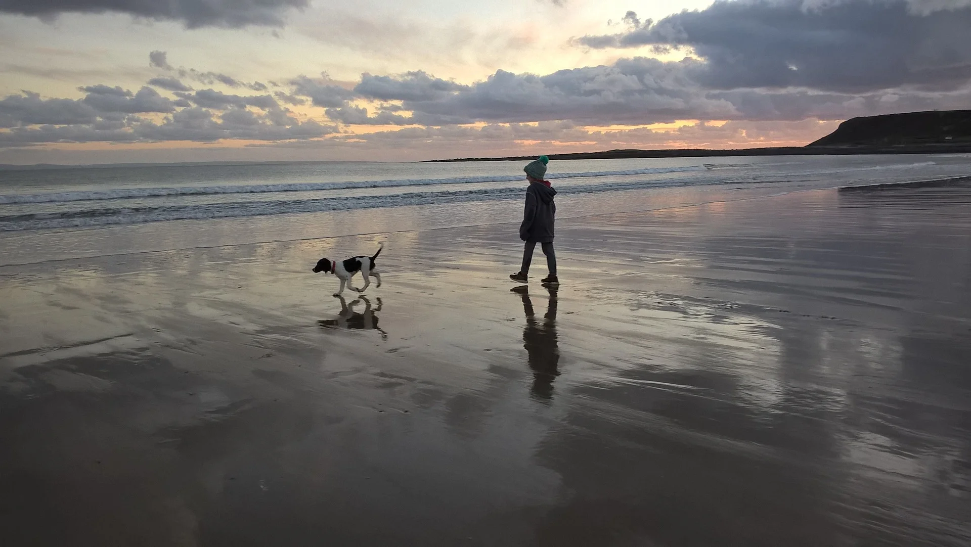 DogBaby.jpg
