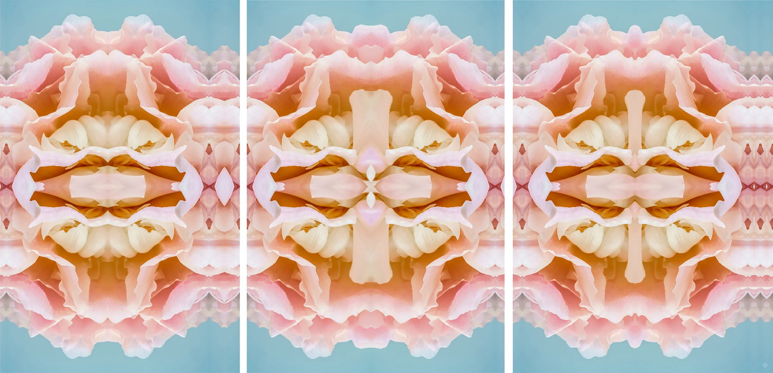 Blush, Series 3