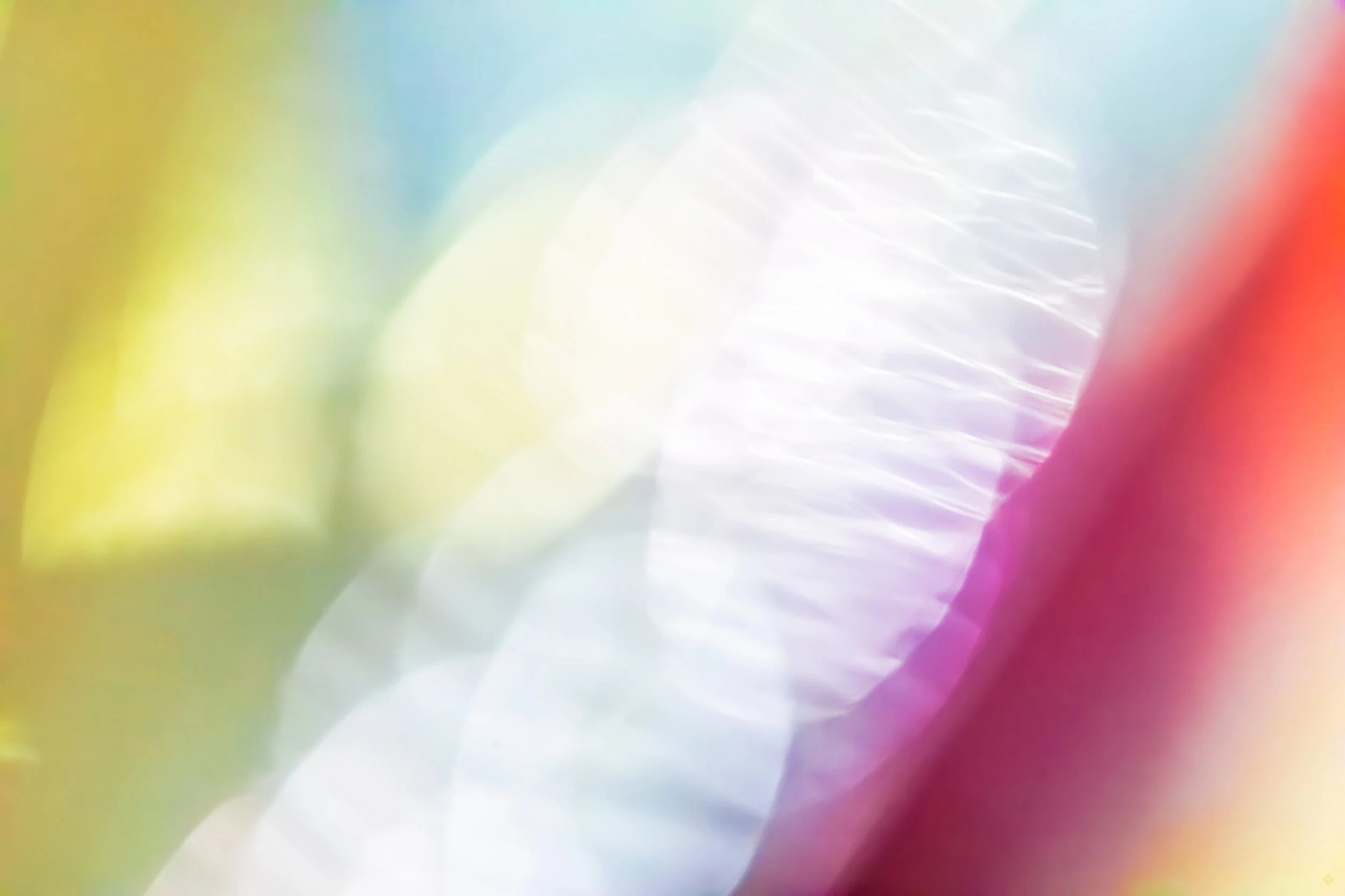 perception_katewilsonfineart.jpg
