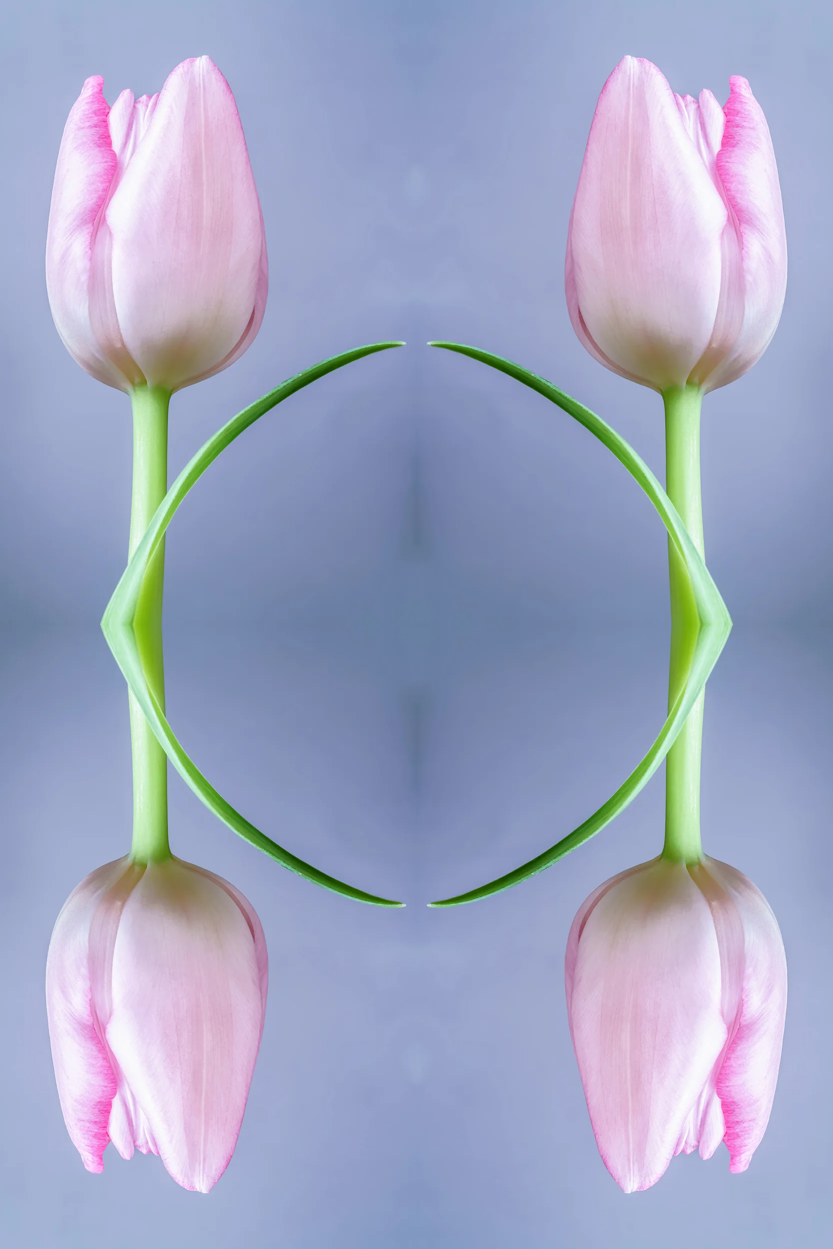 dreamscapeseries1-1_katewilsonfineart.jpg