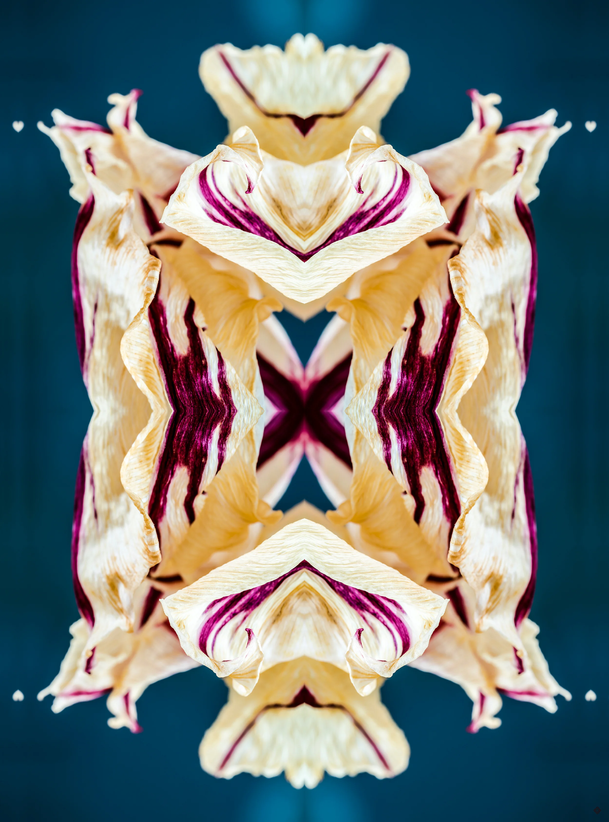 queenofhearts_katewilsonfineart.jpg