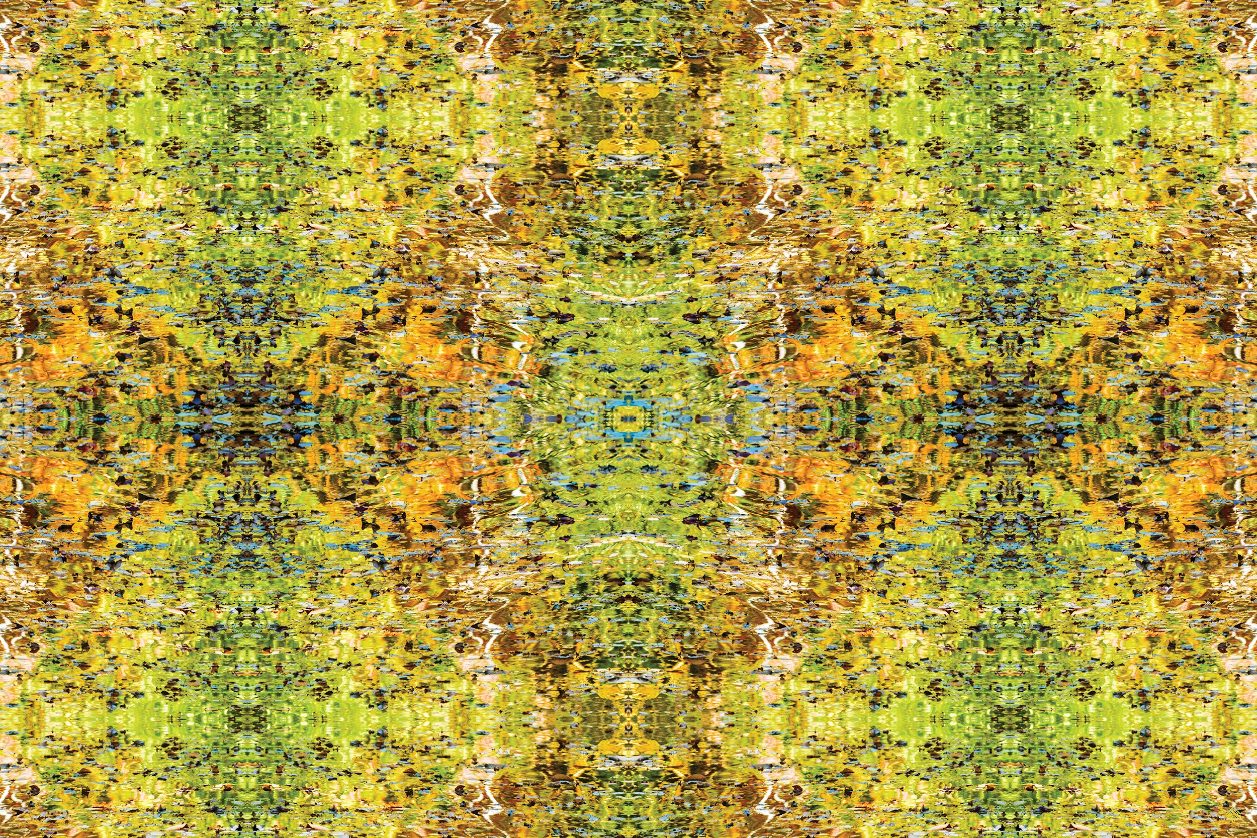 rockpondreflections_katewilsonfineart.jpg