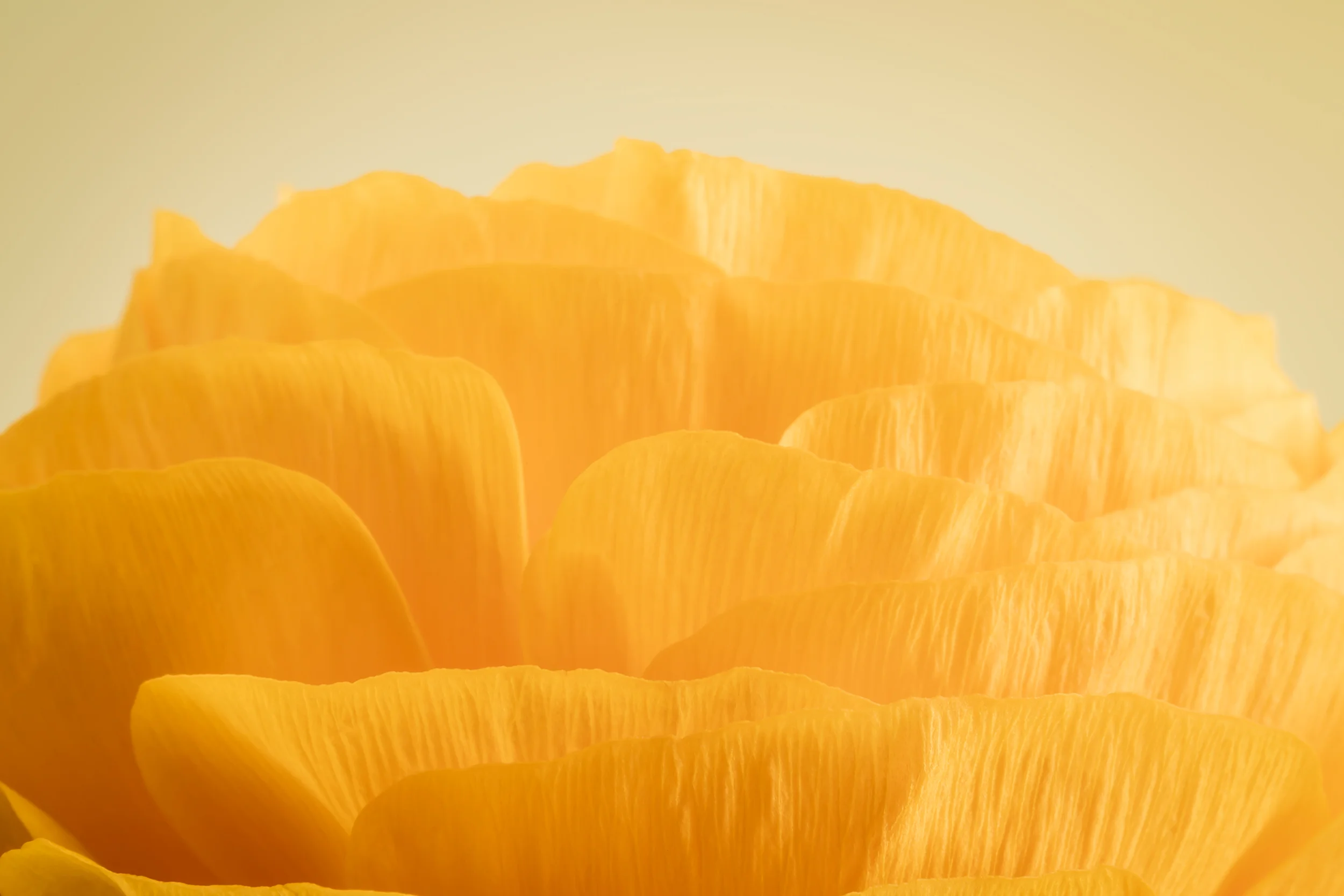 Efflorescence 1