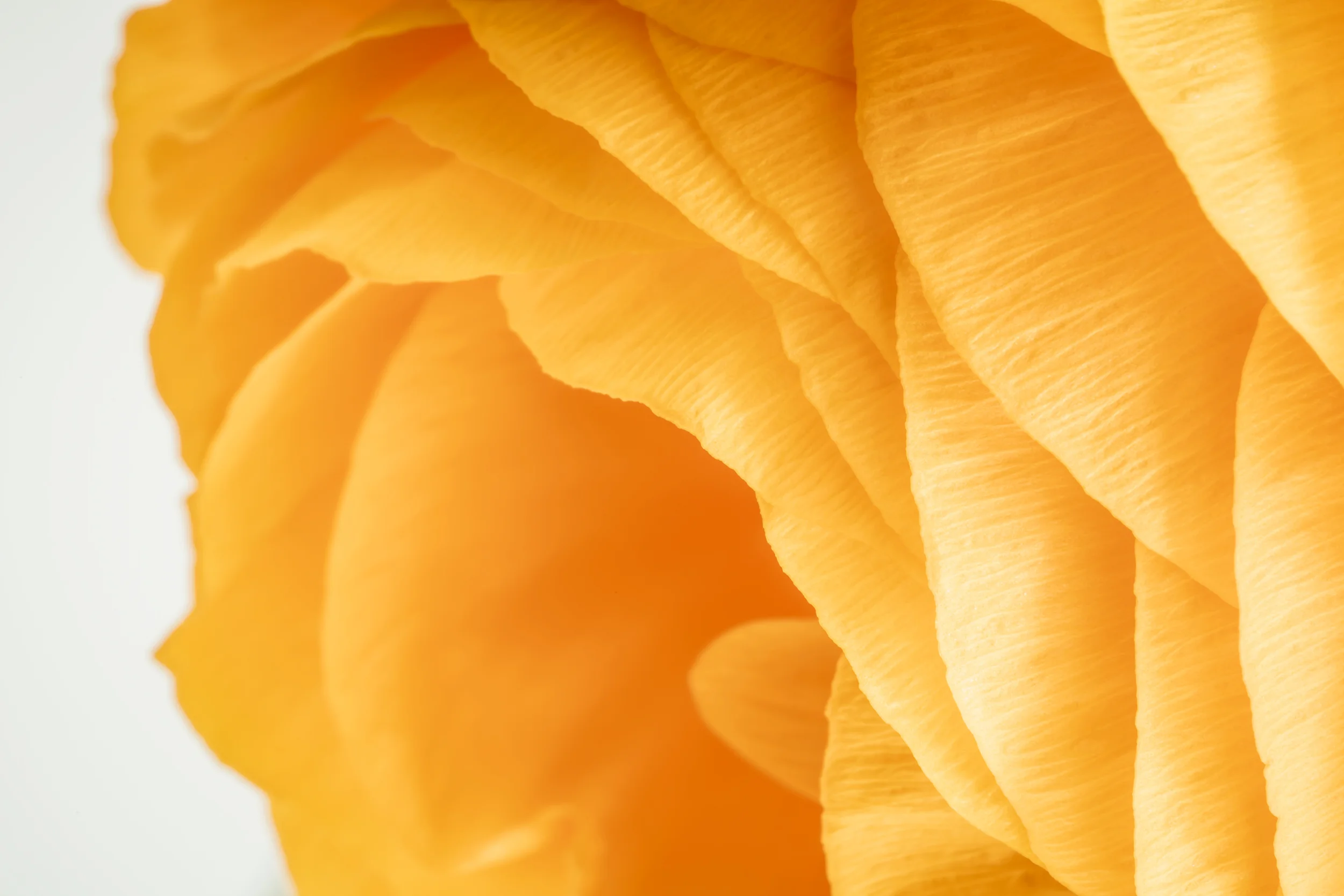 Efflorescence 7