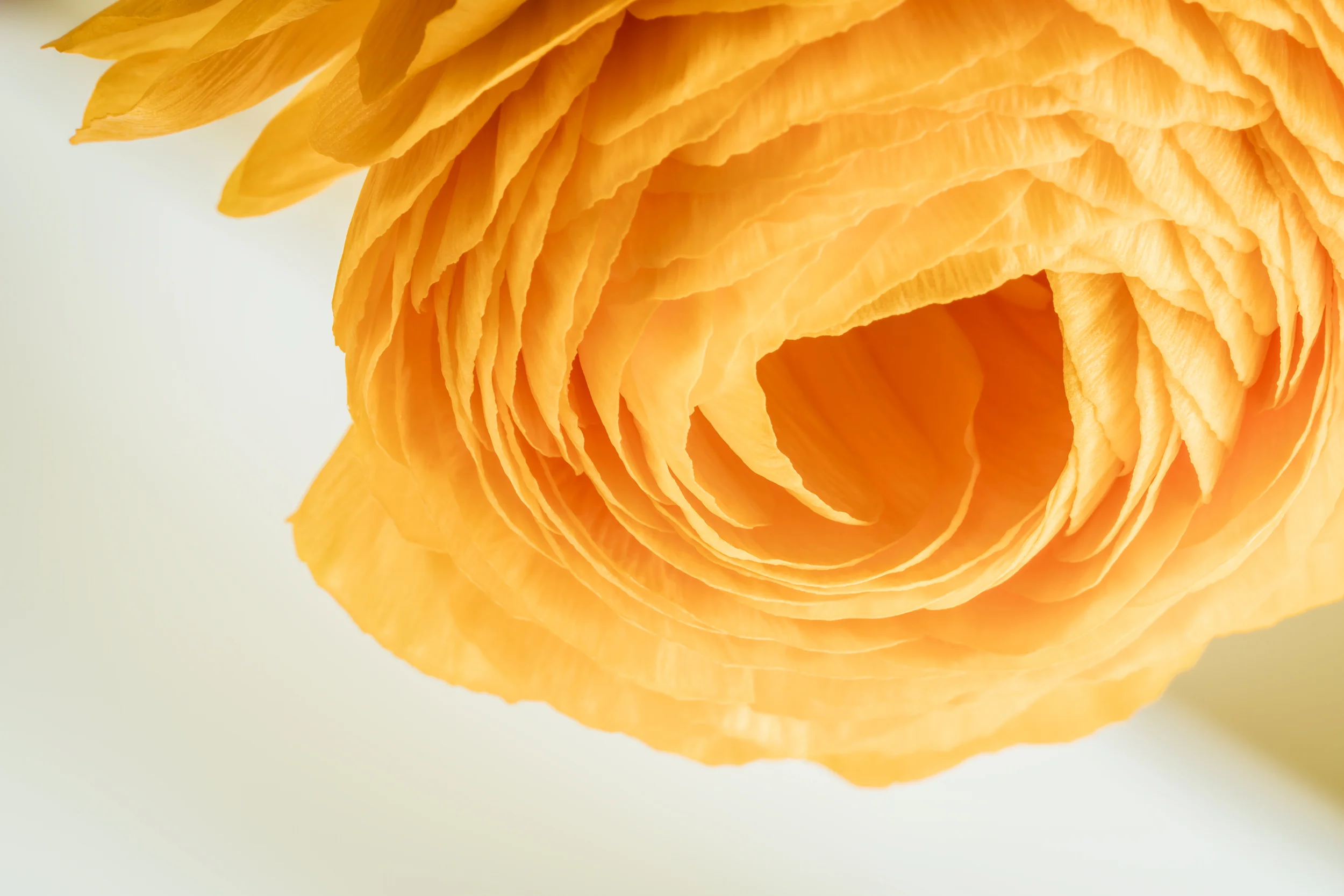 Efflorescence 5