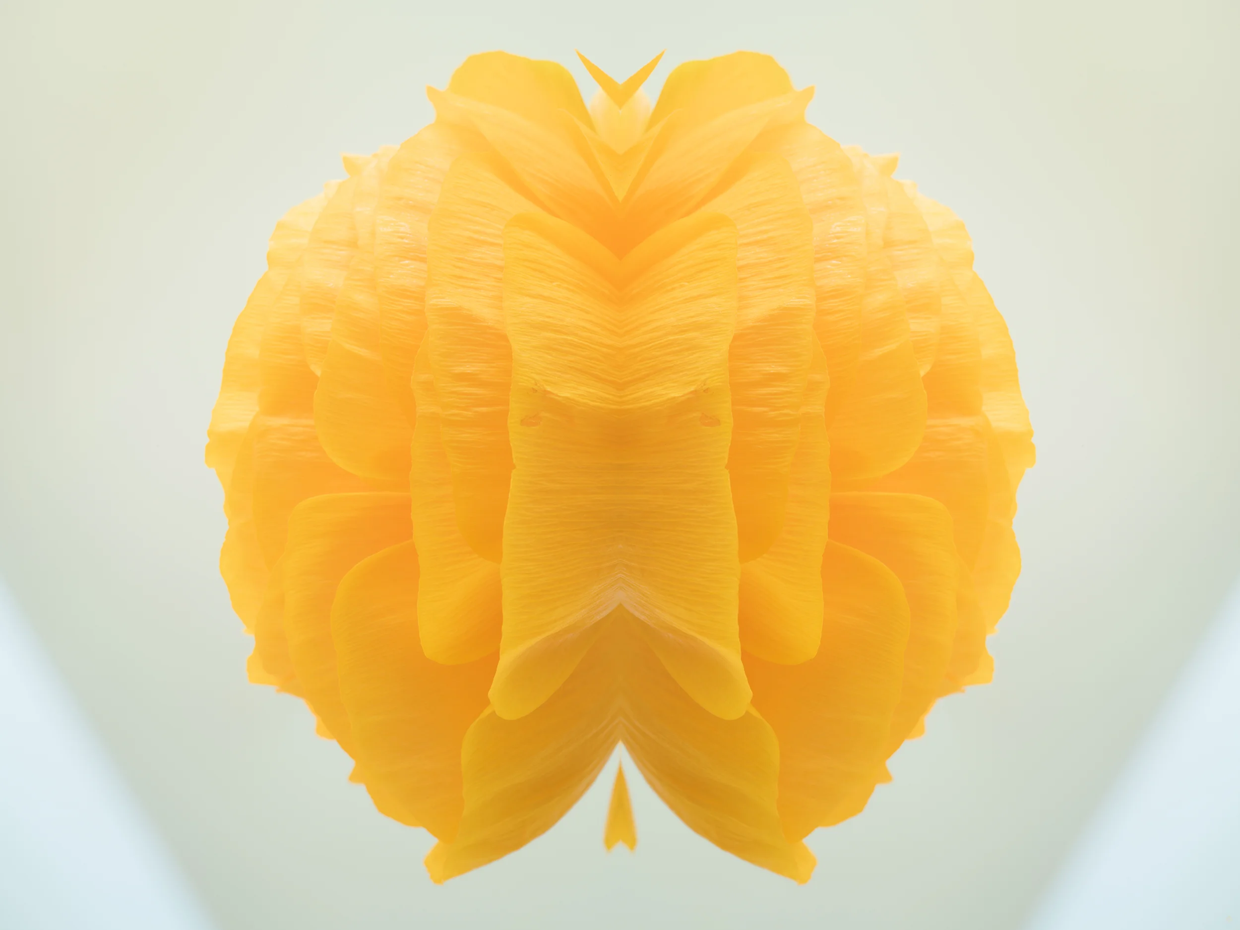 Efflorescence 12