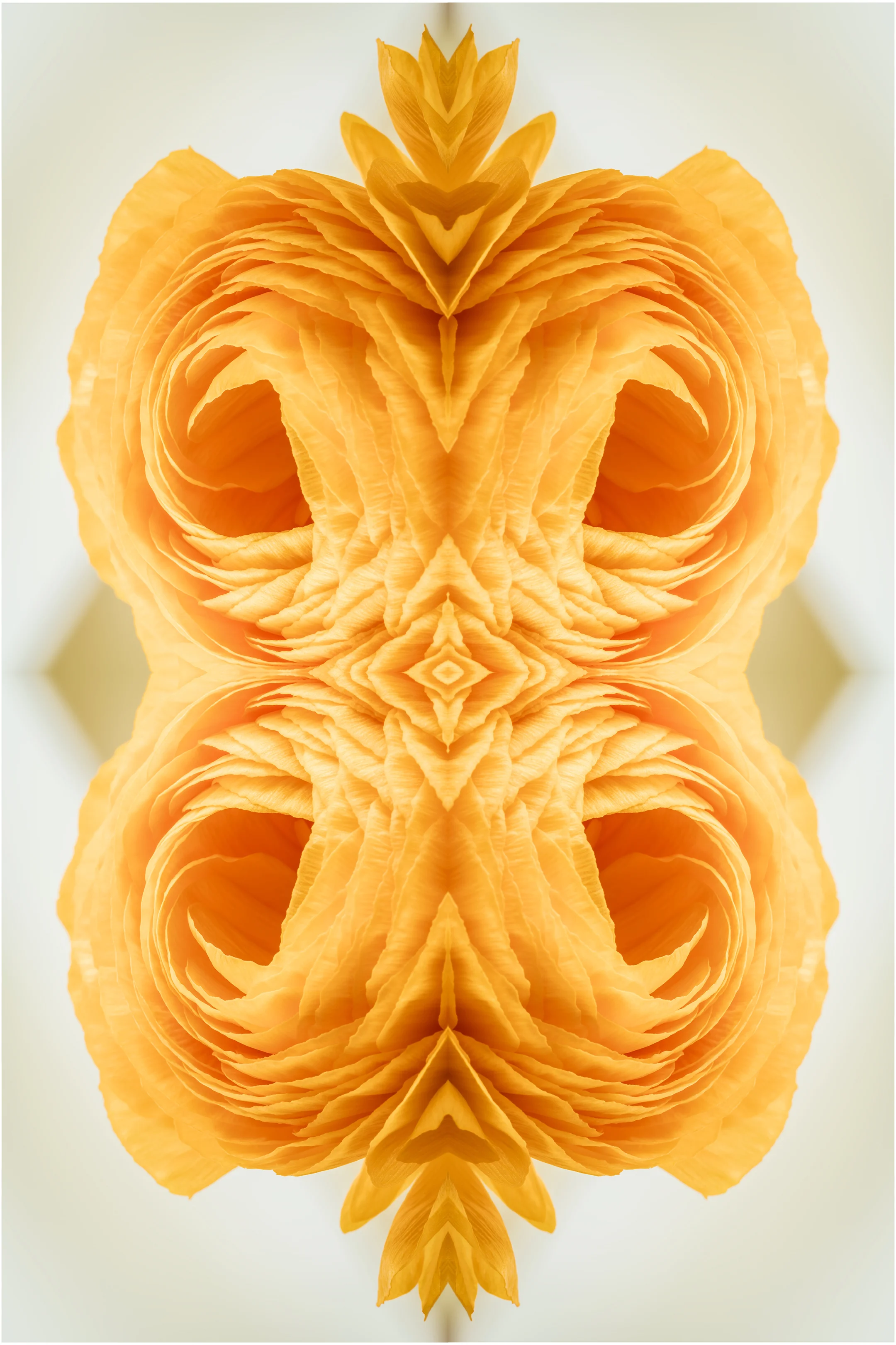Efflorescence 11