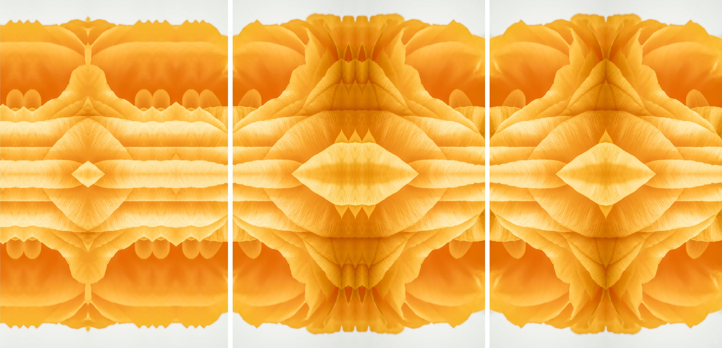 Efflorescence 16