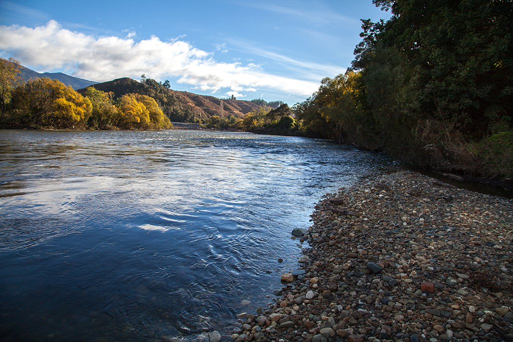 Motueka River