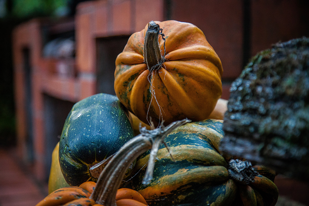 AutumnMotuekaRiverLodge_pumpkins.jpg