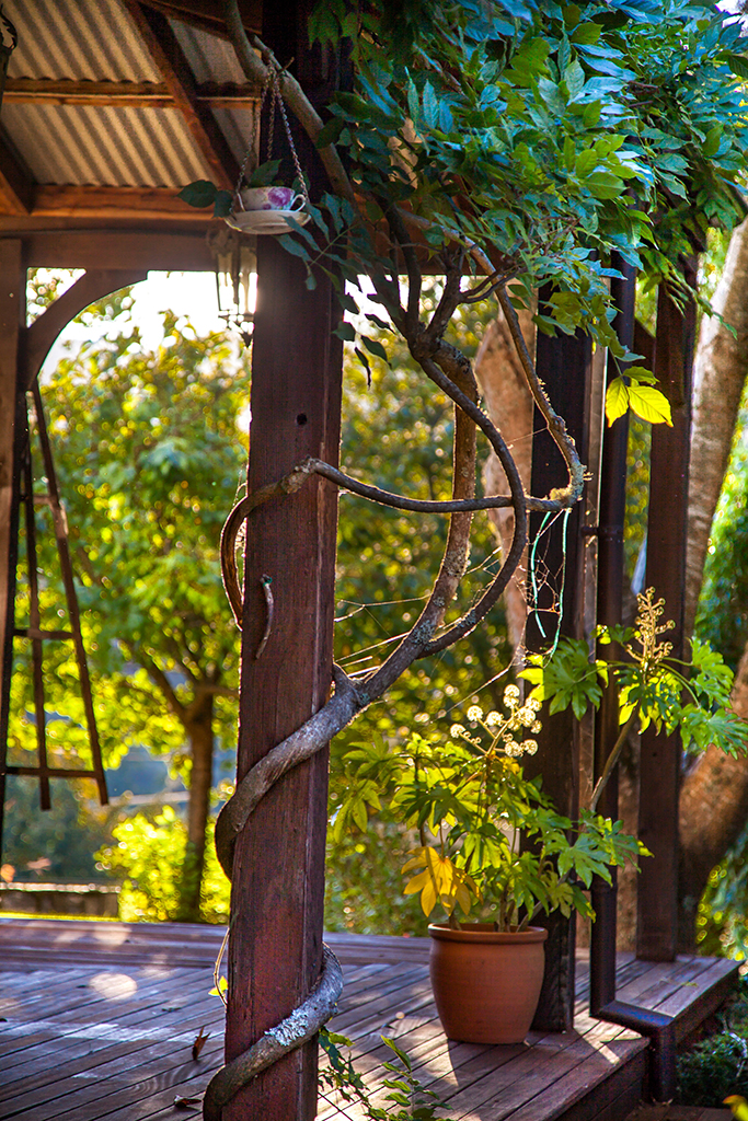 AutumnMotuekaRiverLodge_Vine_on_deck.jpg