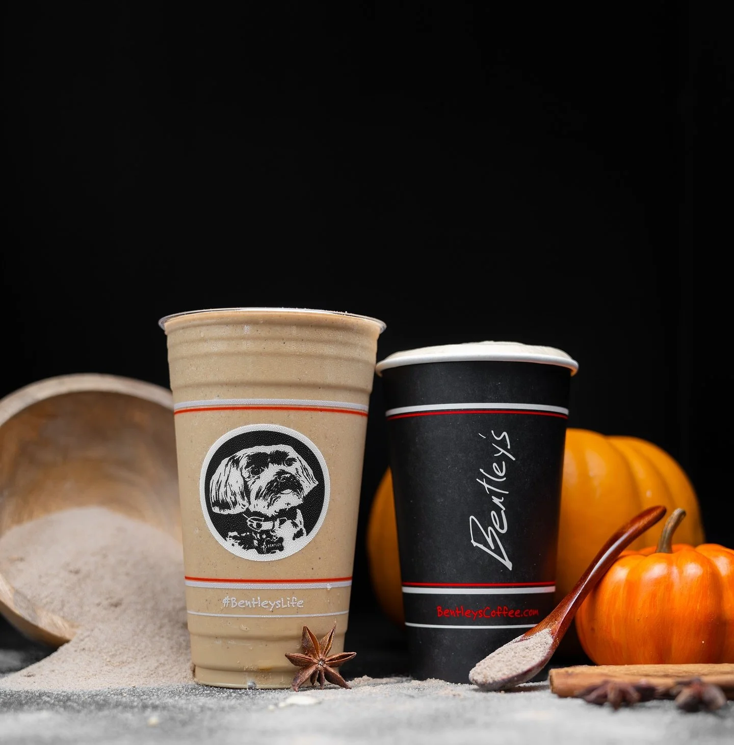 Get cozy w/ a pumpkin chai! 🍂🧡

Bentley&rsquo;s house-made pumpkin recipe uses REAL pumpkin puree, cane sugar, and warm spices. Mix that into our chai &amp; you have the perfect fall drink to keep you warm&hellip; or cold, if you prefer iced. 😉🤎