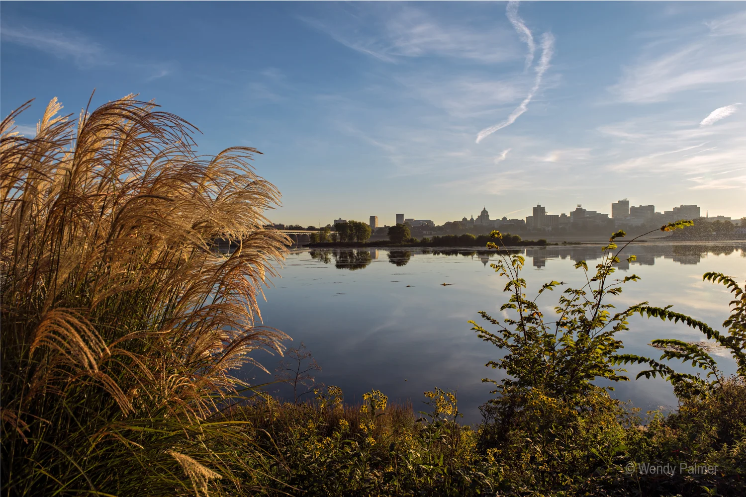 Grass and River