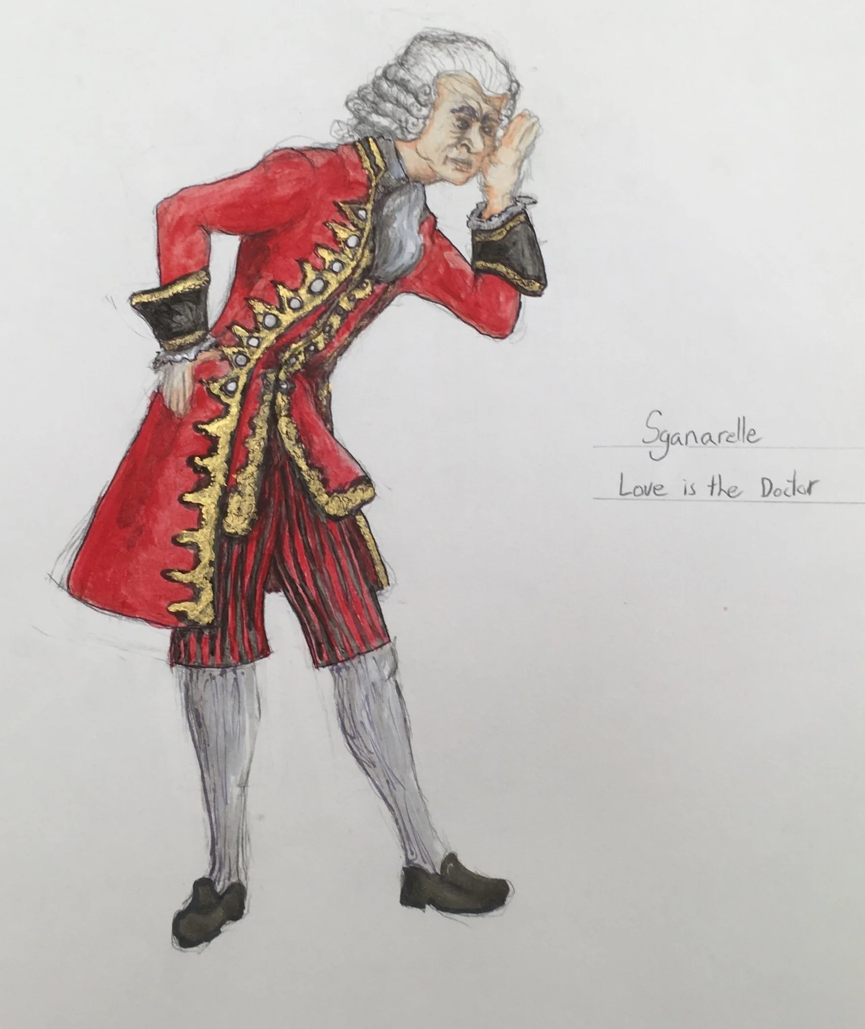 Love is the Doctor, Sganarelle