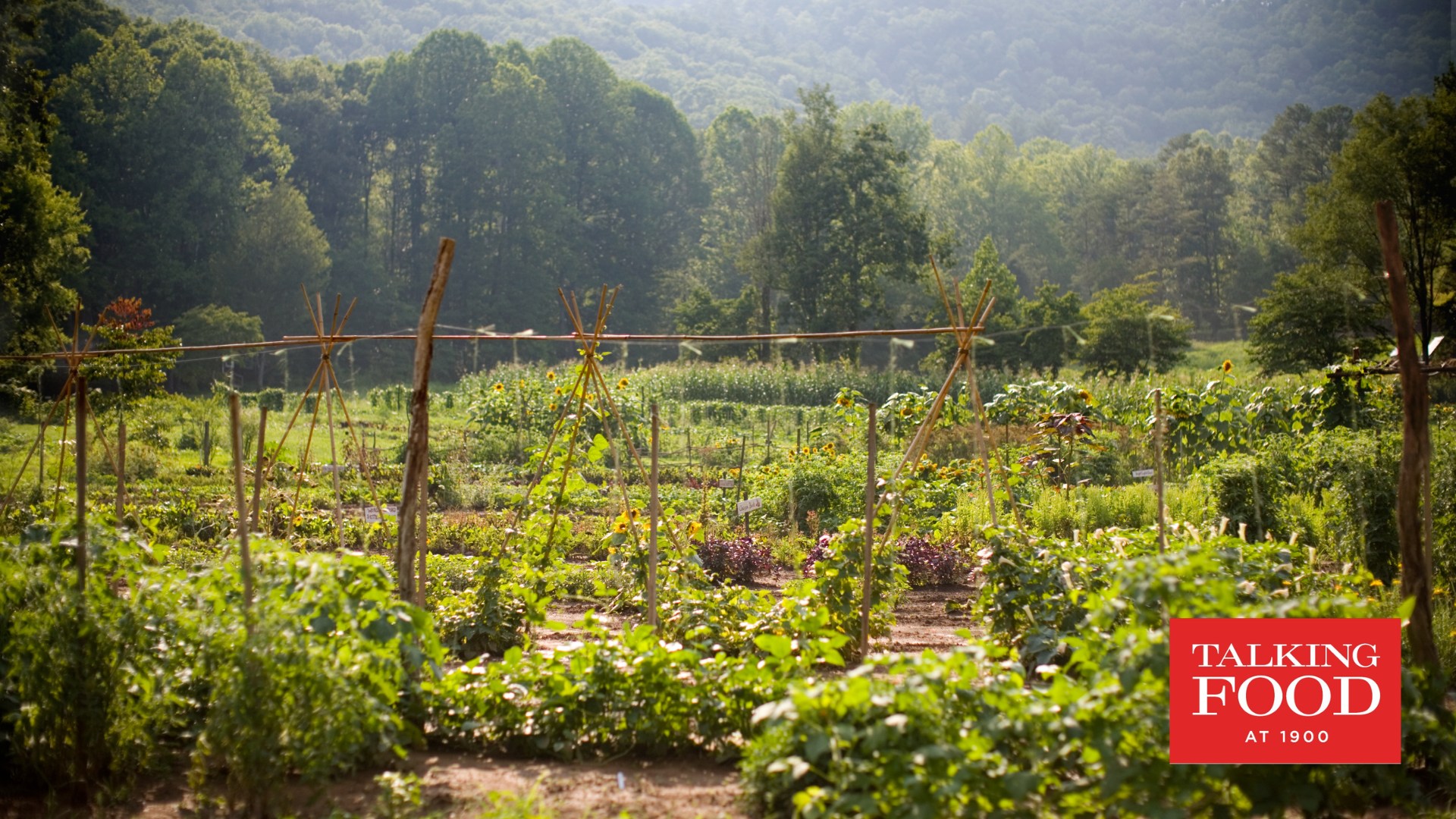 Seed Preservation and Heirloom Ingredients with Blackberry Farm
