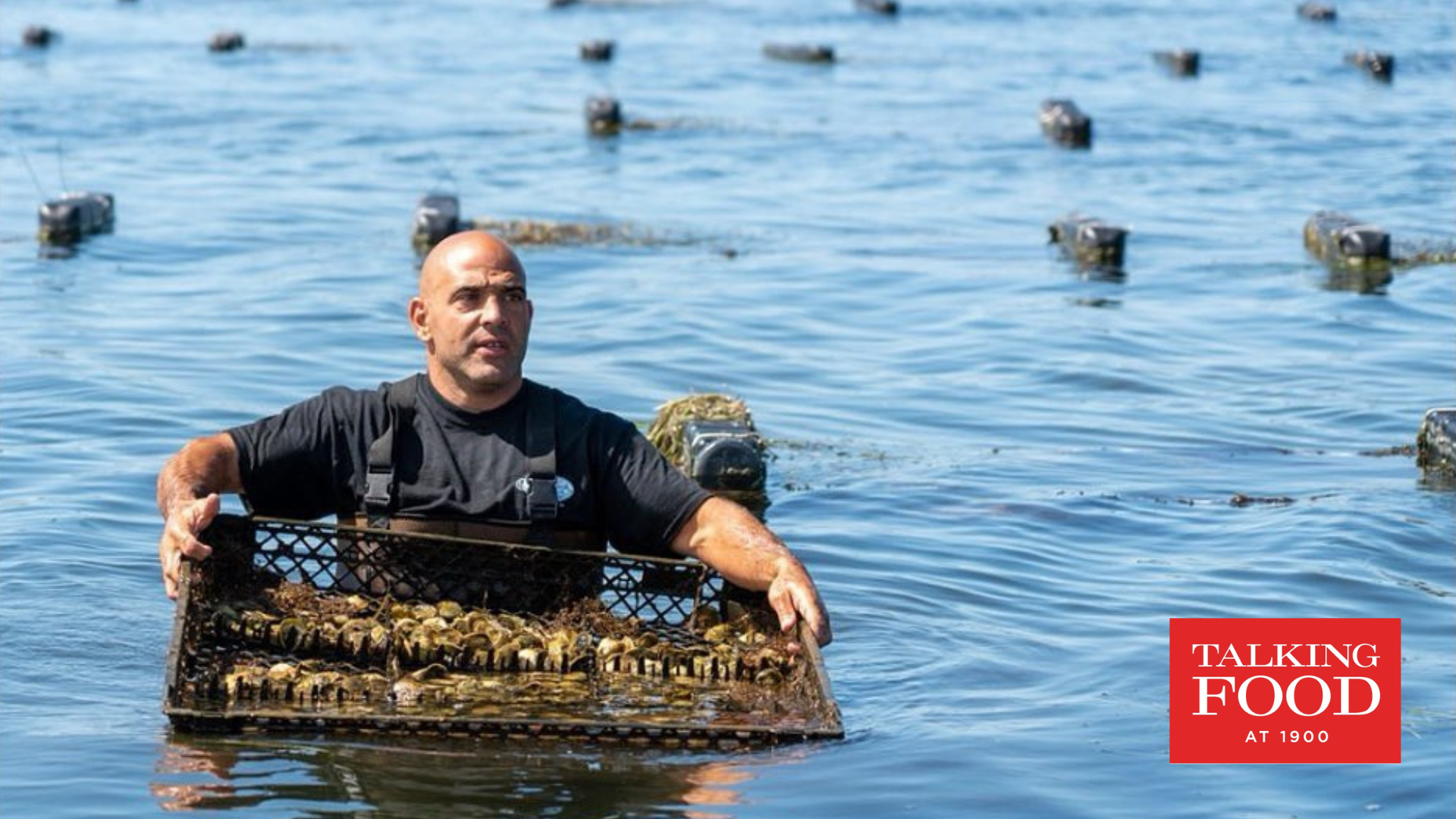 Oysters and New England Cuisine with Perry Raso of Matunuck Oysters