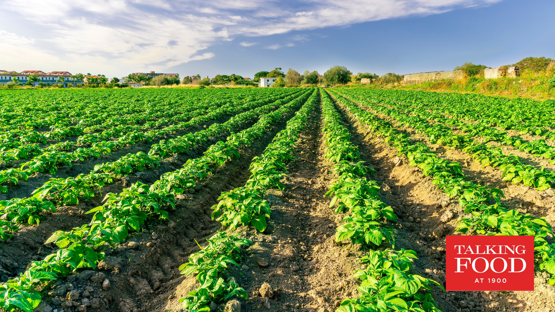 Talking Food and Farming with Campo Lindo Farms, Green Gate Family Farm, and more
