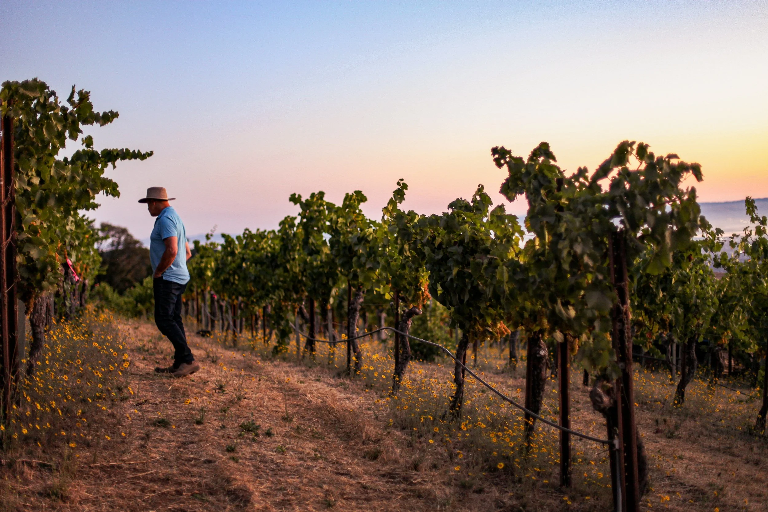 Ridge Vineyards Wine Dinner