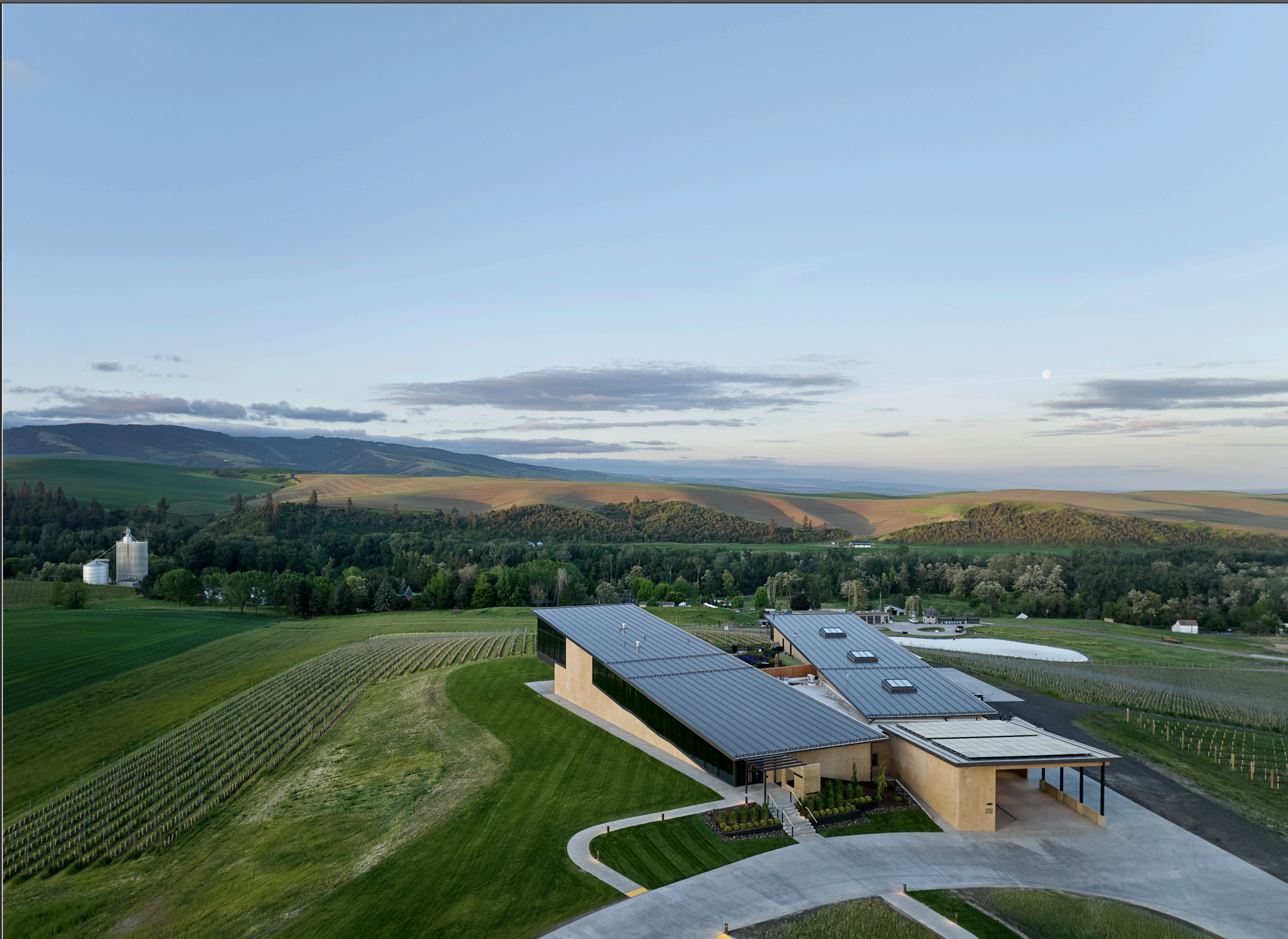 Screenshot 2025-08-12 at 11.15.04 AM.png