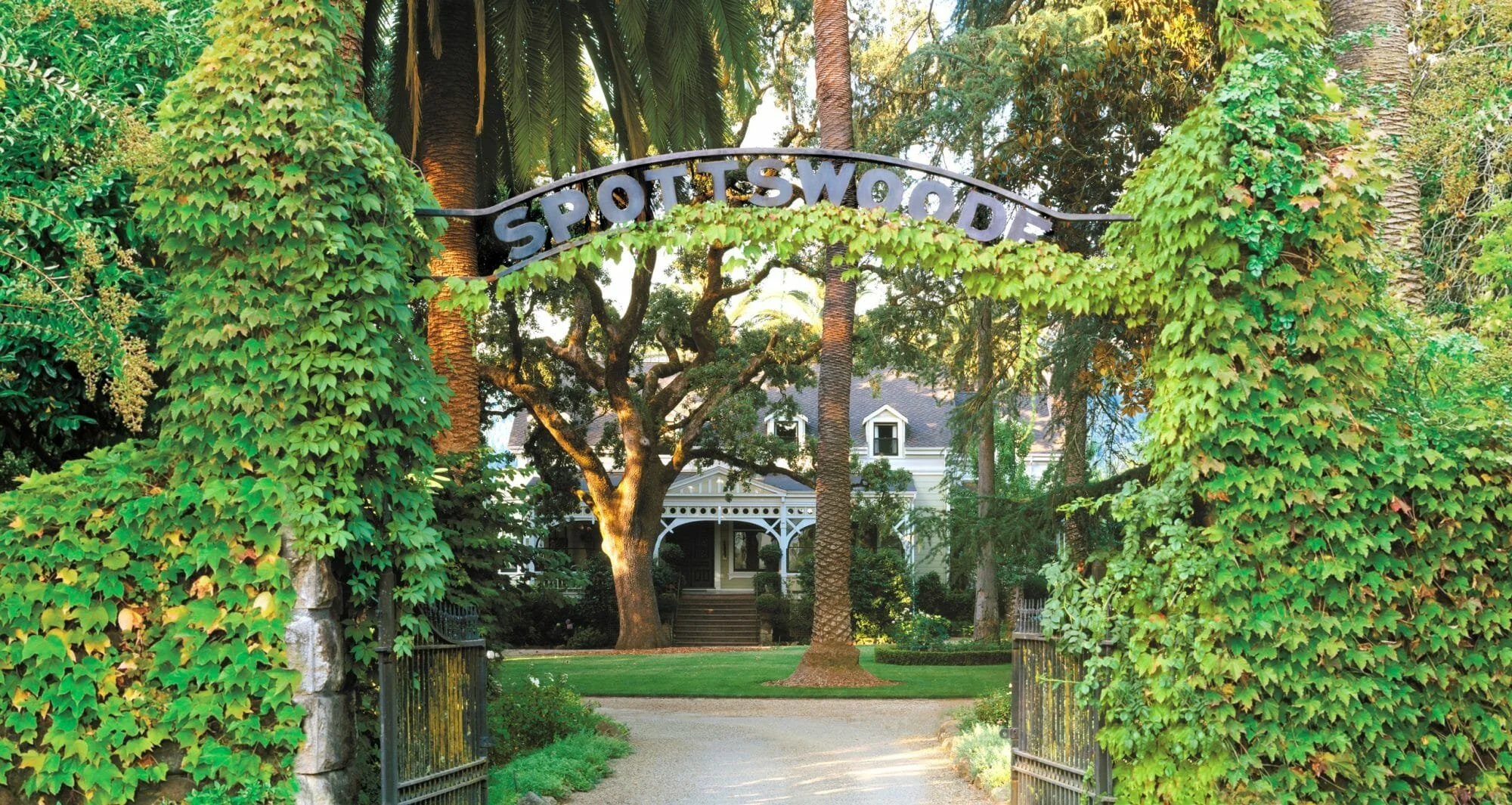 Spottswoode Wine Dinner in Modern Culinary