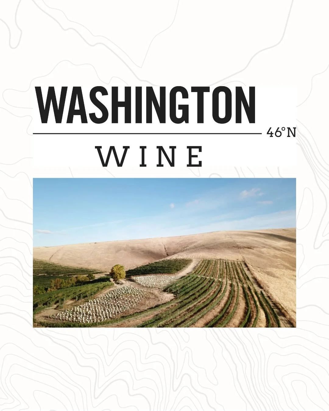 Washington Wine Weekend is right around the corner 🍇

Fri. 4/10 - Walla Walla Wine Takeover ✨

Matt Rice of L&rsquo;Ecole No. 41, Sager Small of OG Woodward Canyon, Alex Bergman, and 1900&rsquo;s own Doug Frost MS MW of Echolands will be on hand for