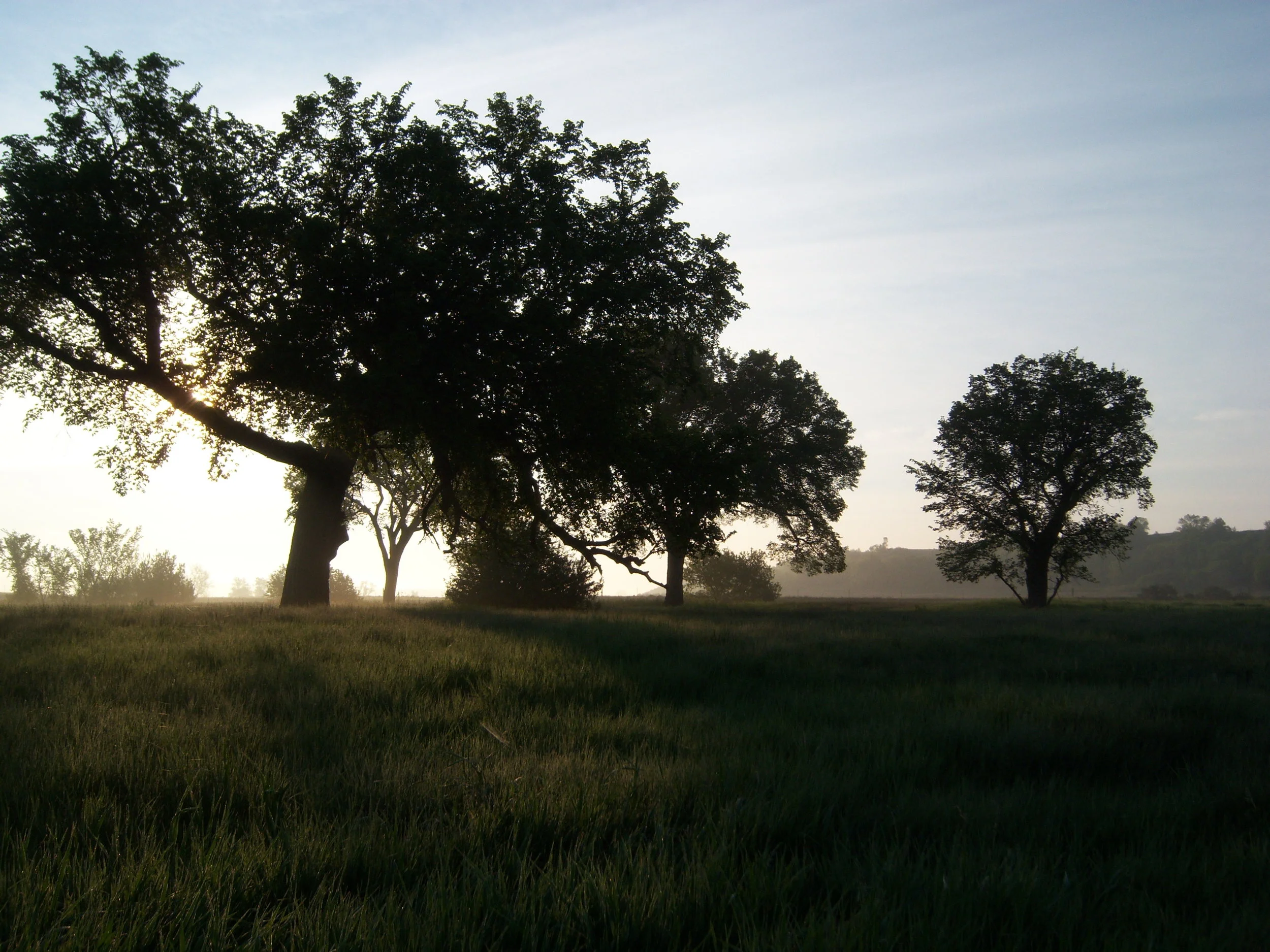 100_7074.JPG