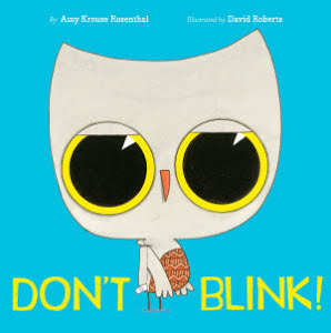 Don't Blink by Amy Krouse