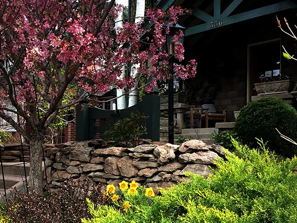 Donovan.Garden.2.jpg