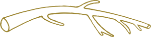 Stems.Logo.Smallest.png