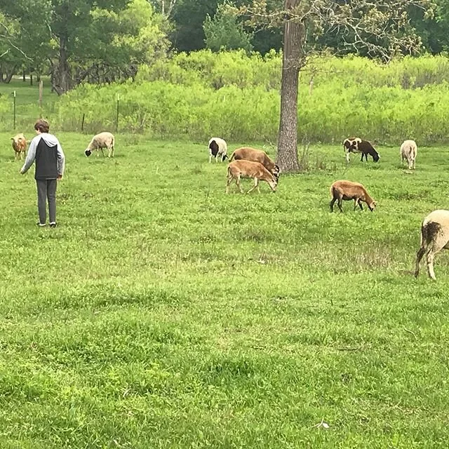 Spent some time out at our studio in Lockhart today. Burned some brush. The neighbor&rsquo;s dogs watched our every move!