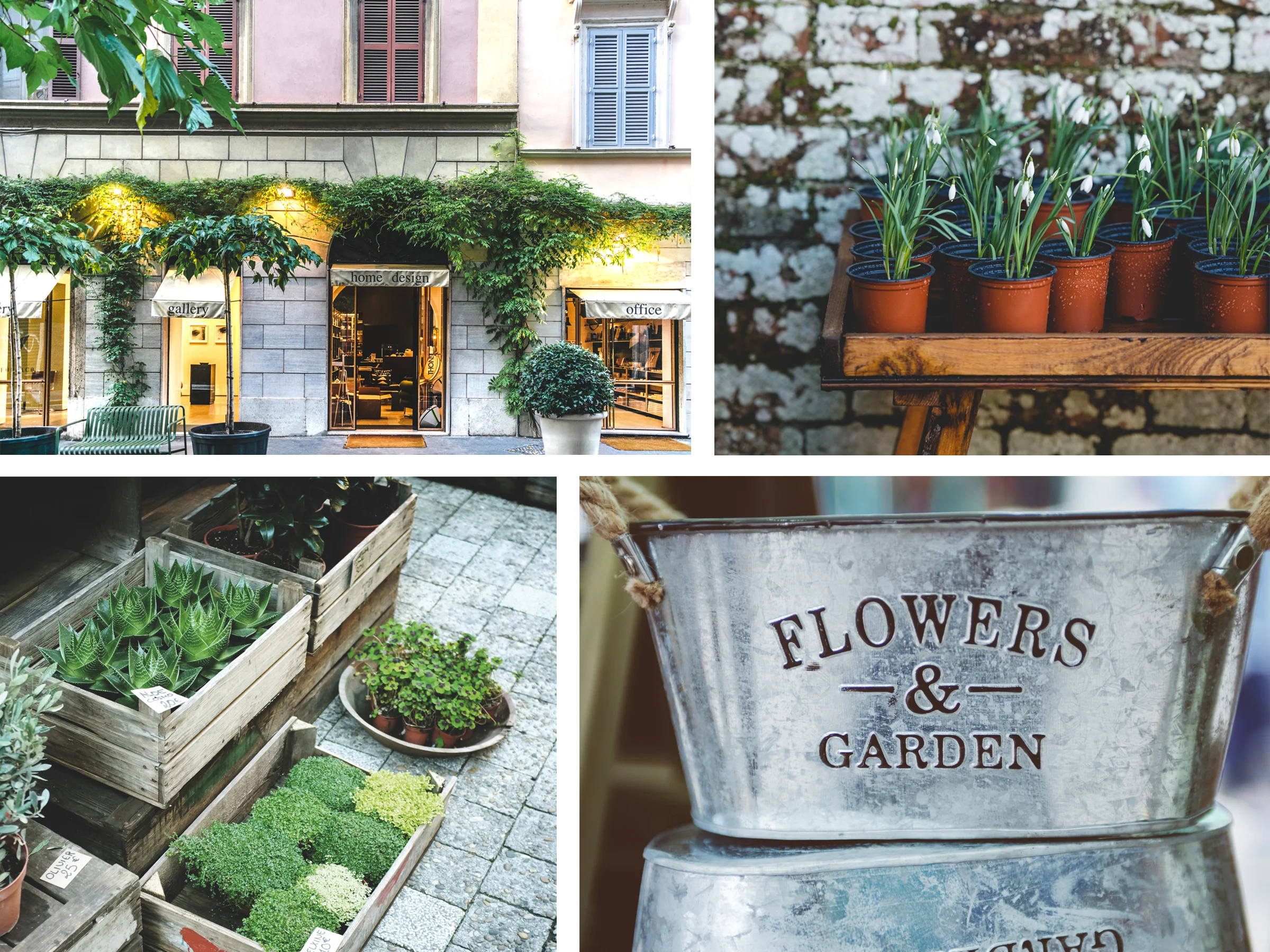 garden.jpg