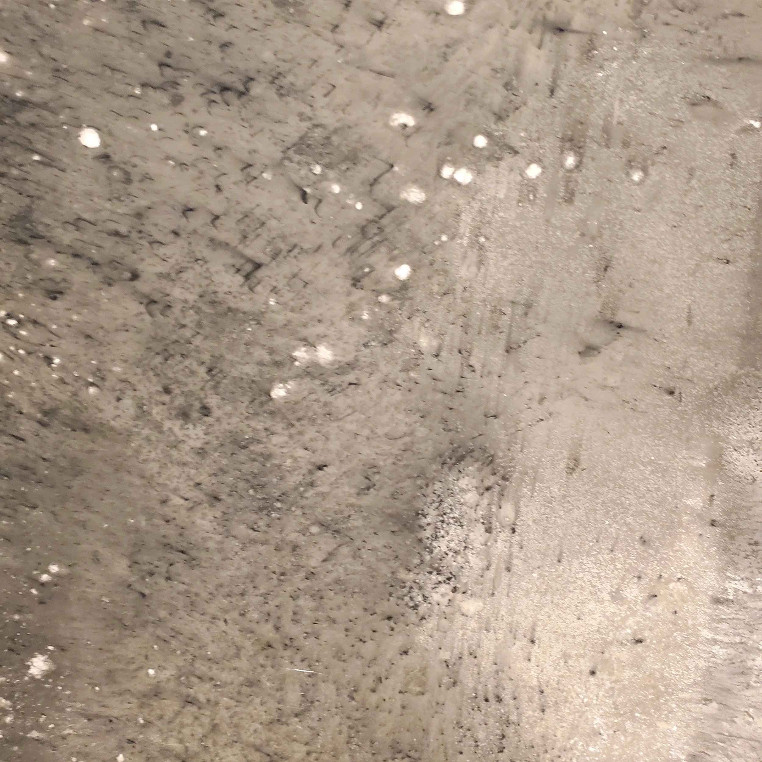 20230711_114935.jpg