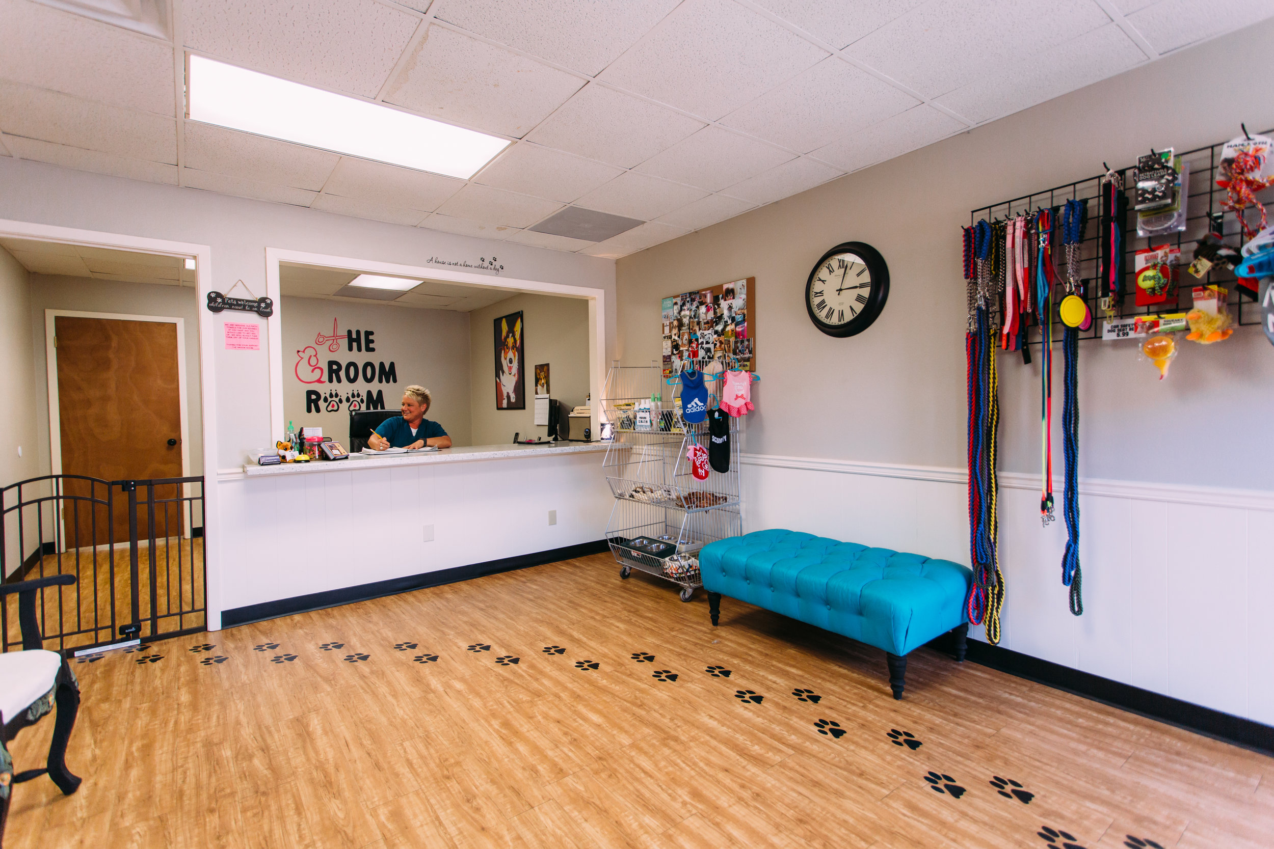 what type of grass do dogs eat when sick