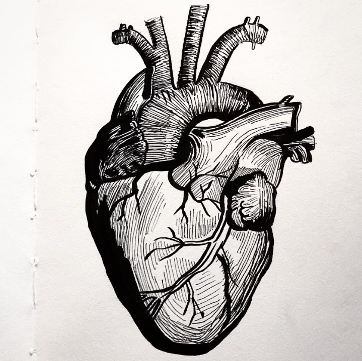 Screen Shot 2018-04-04 at 1.26.57 PM.png