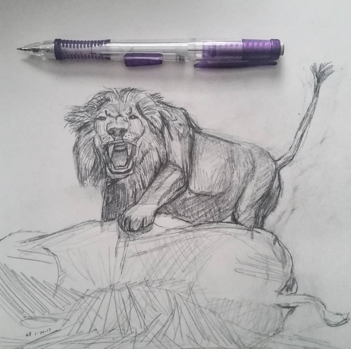 Screen Shot 2018-04-04 at 1.28.50 PM.png