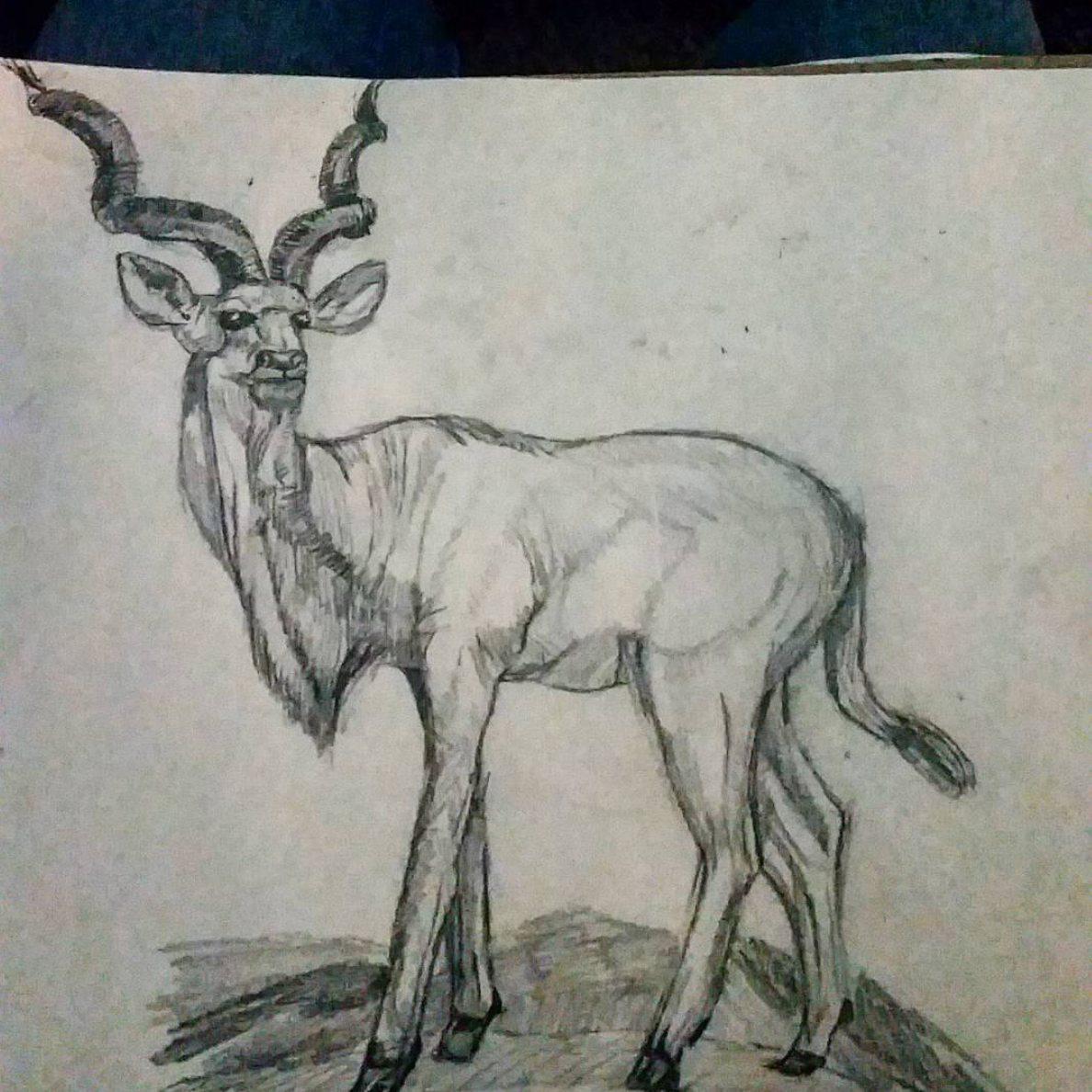 Screen Shot 2018-04-04 at 1.29.01 PM.png