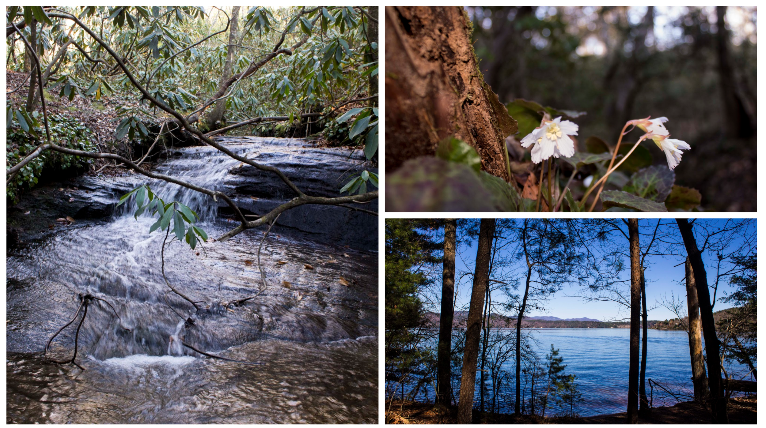 Screen Shot 2018-04-22 at 9.35.41 PM.png