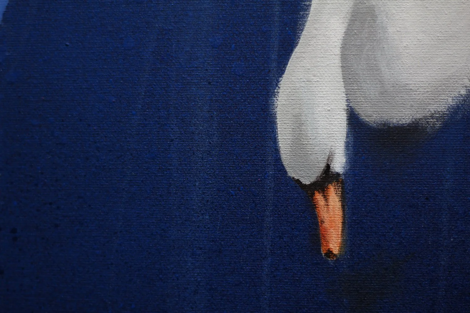 INTERRUPTED ANIMALS 4.jpeg