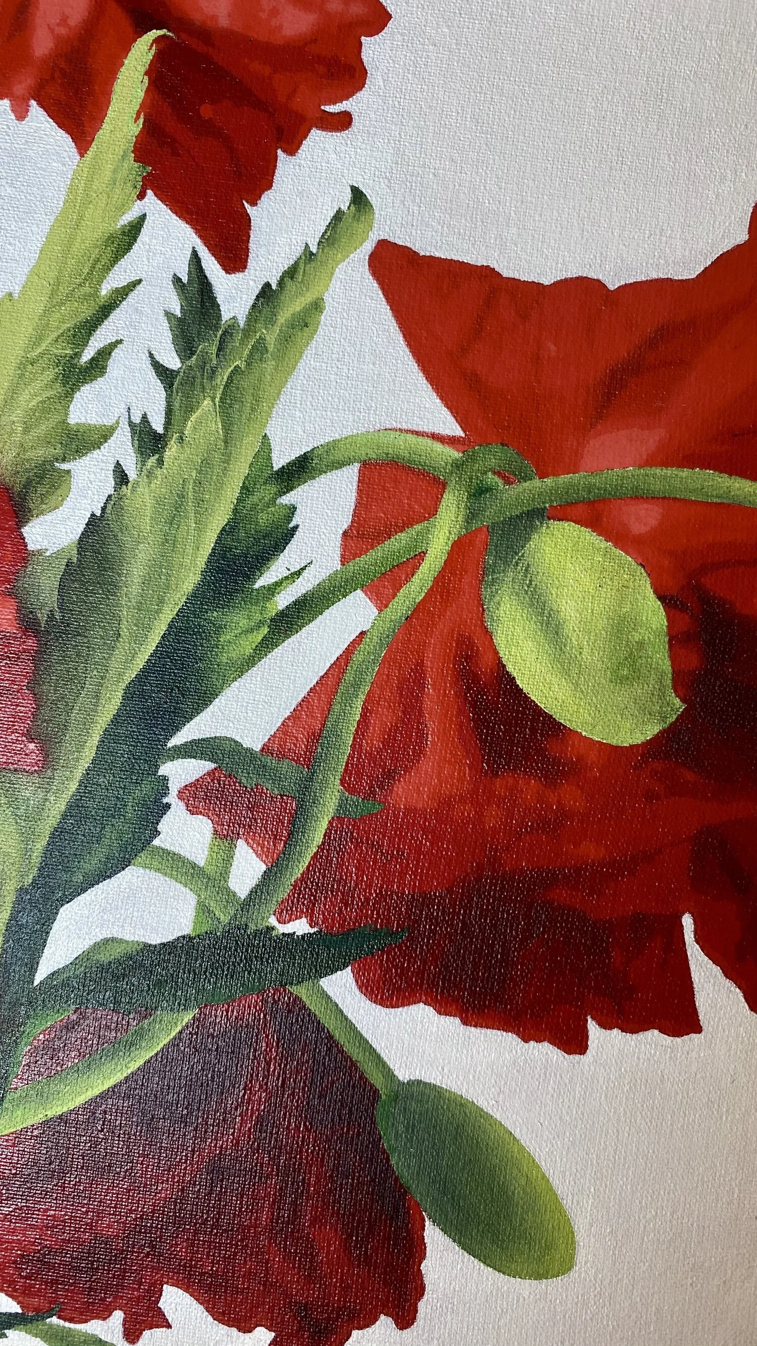 POPPIES 2.jpg