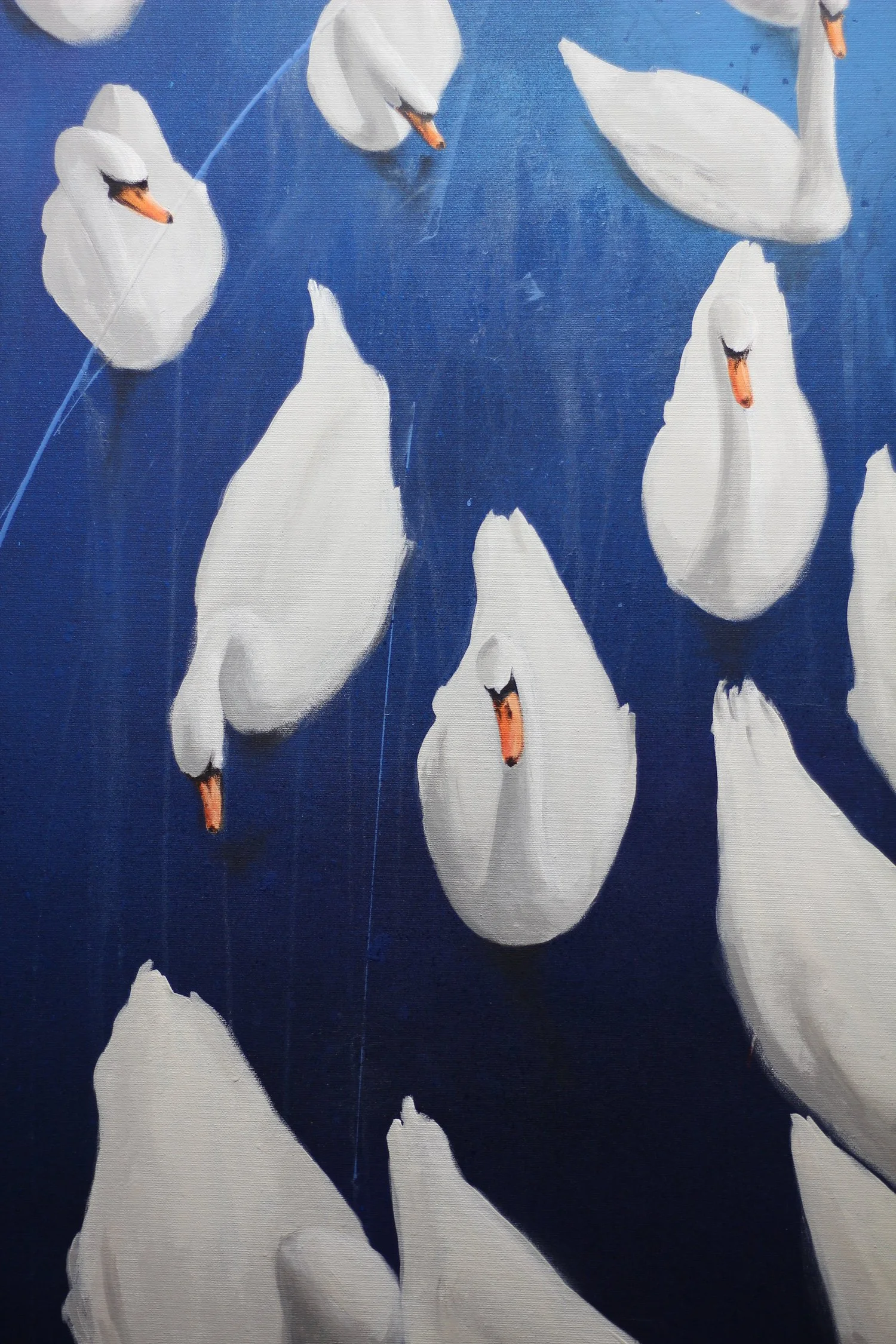 INTERRUPTED ANIMALS 3.jpeg